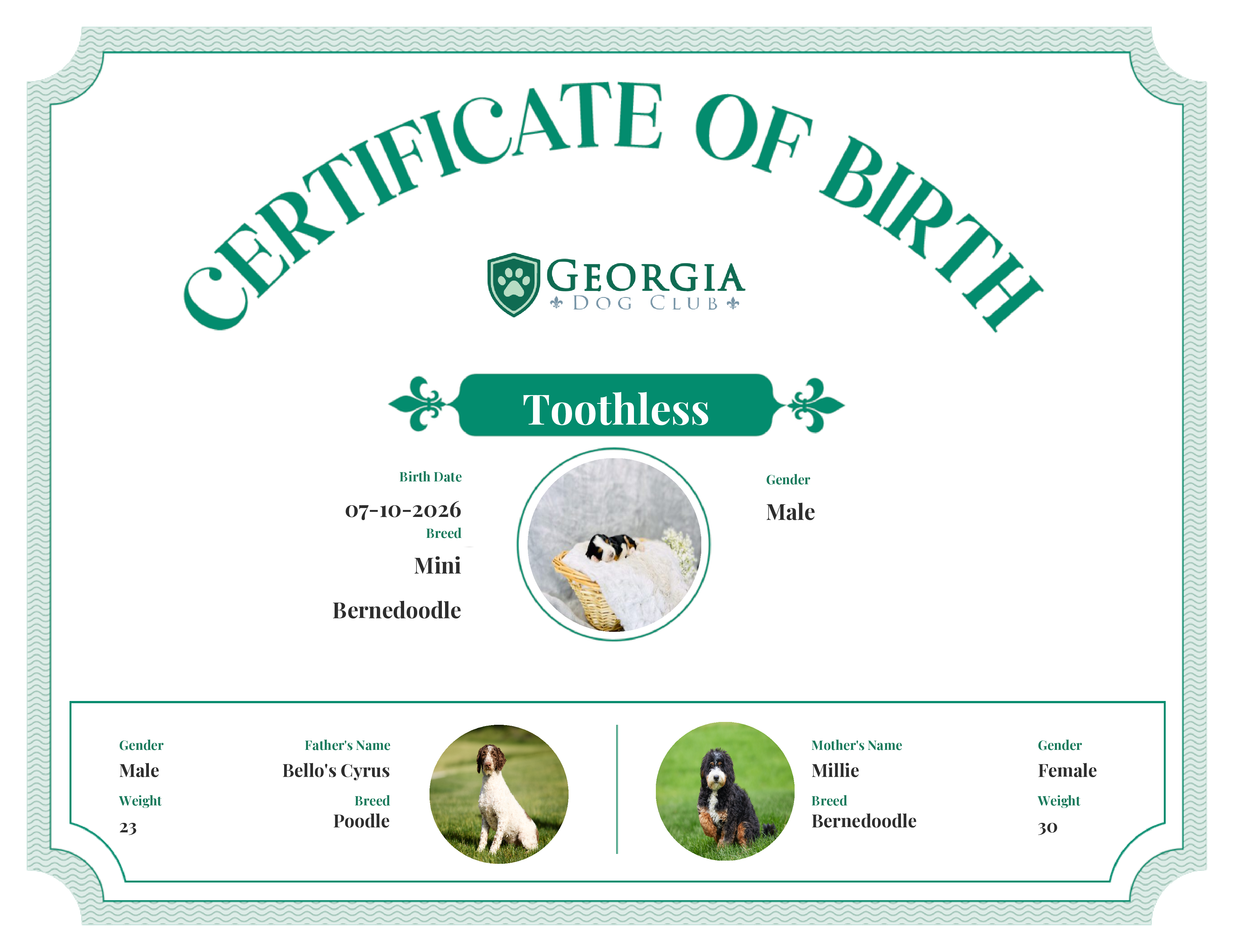 Toothless's Birth Certificate