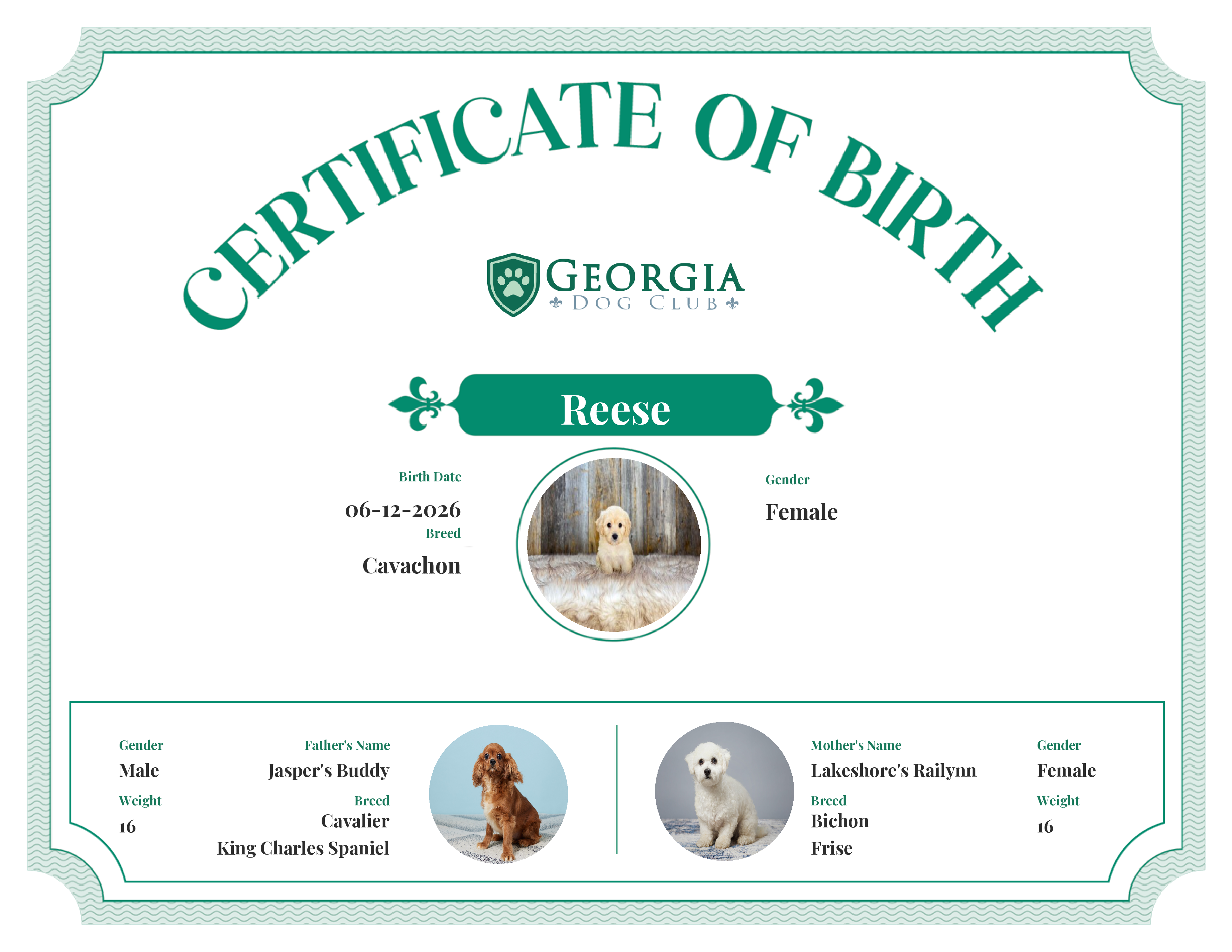 Reese's Birth Certificate