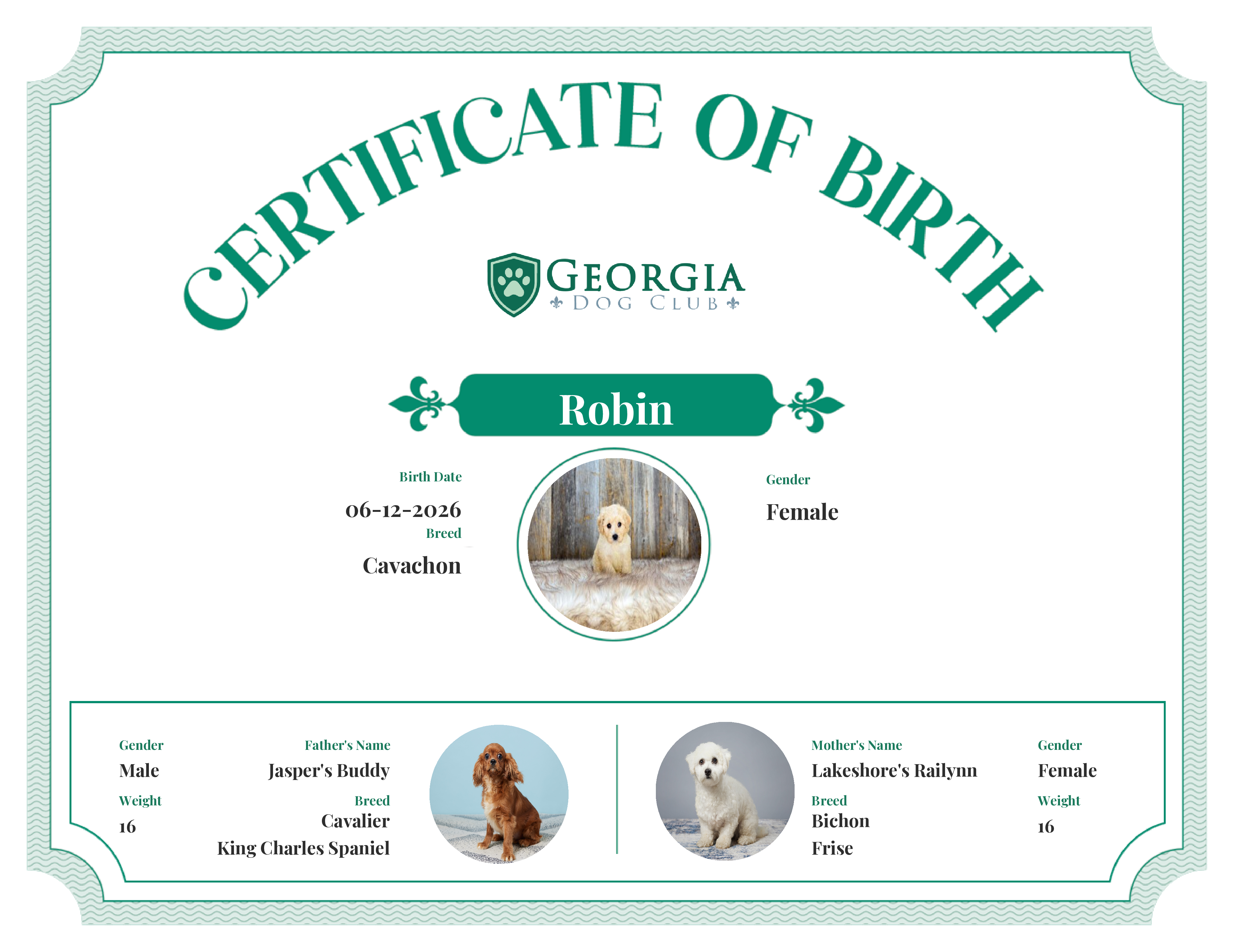 Robin's Birth Certificate