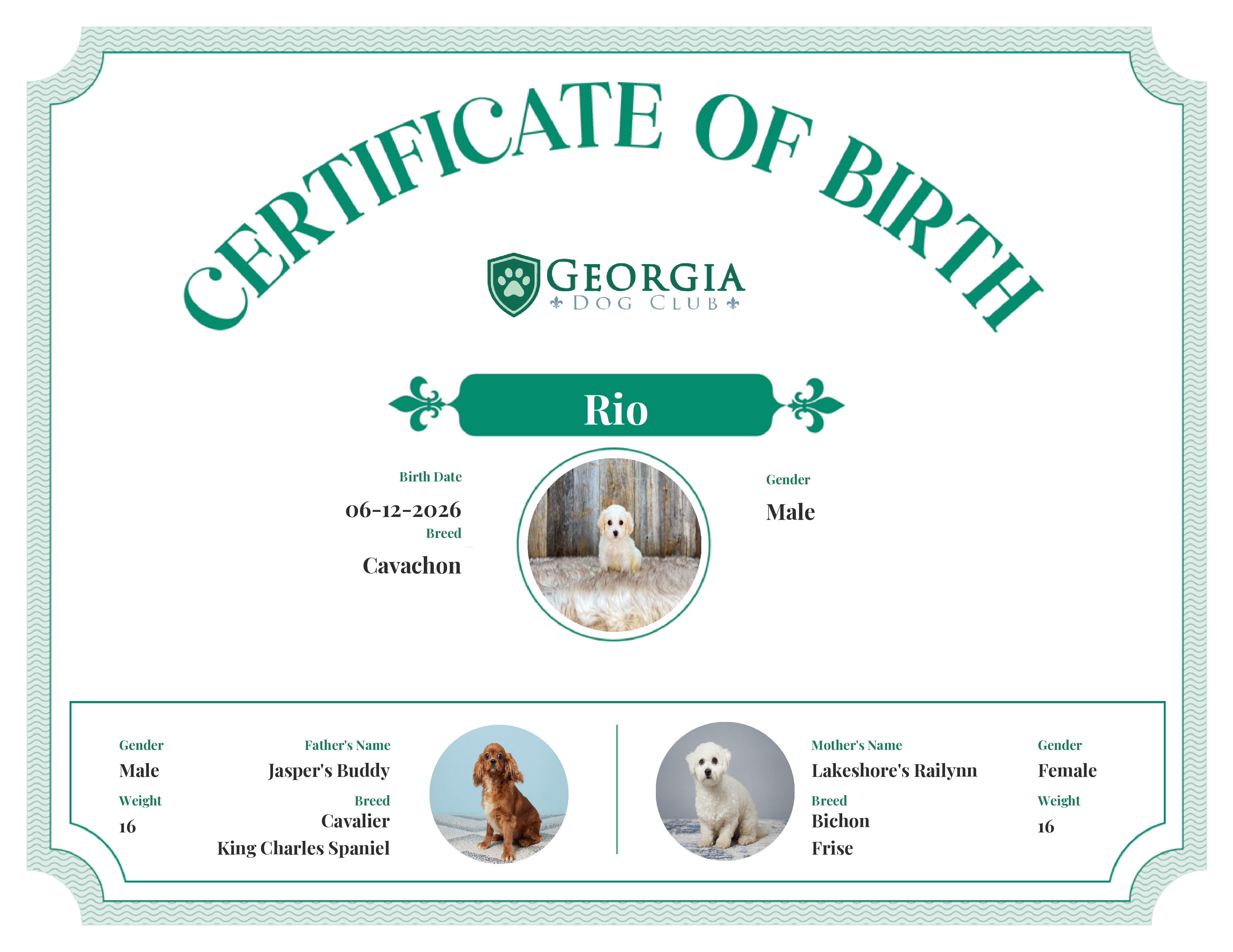 Rio's Birth Certificate