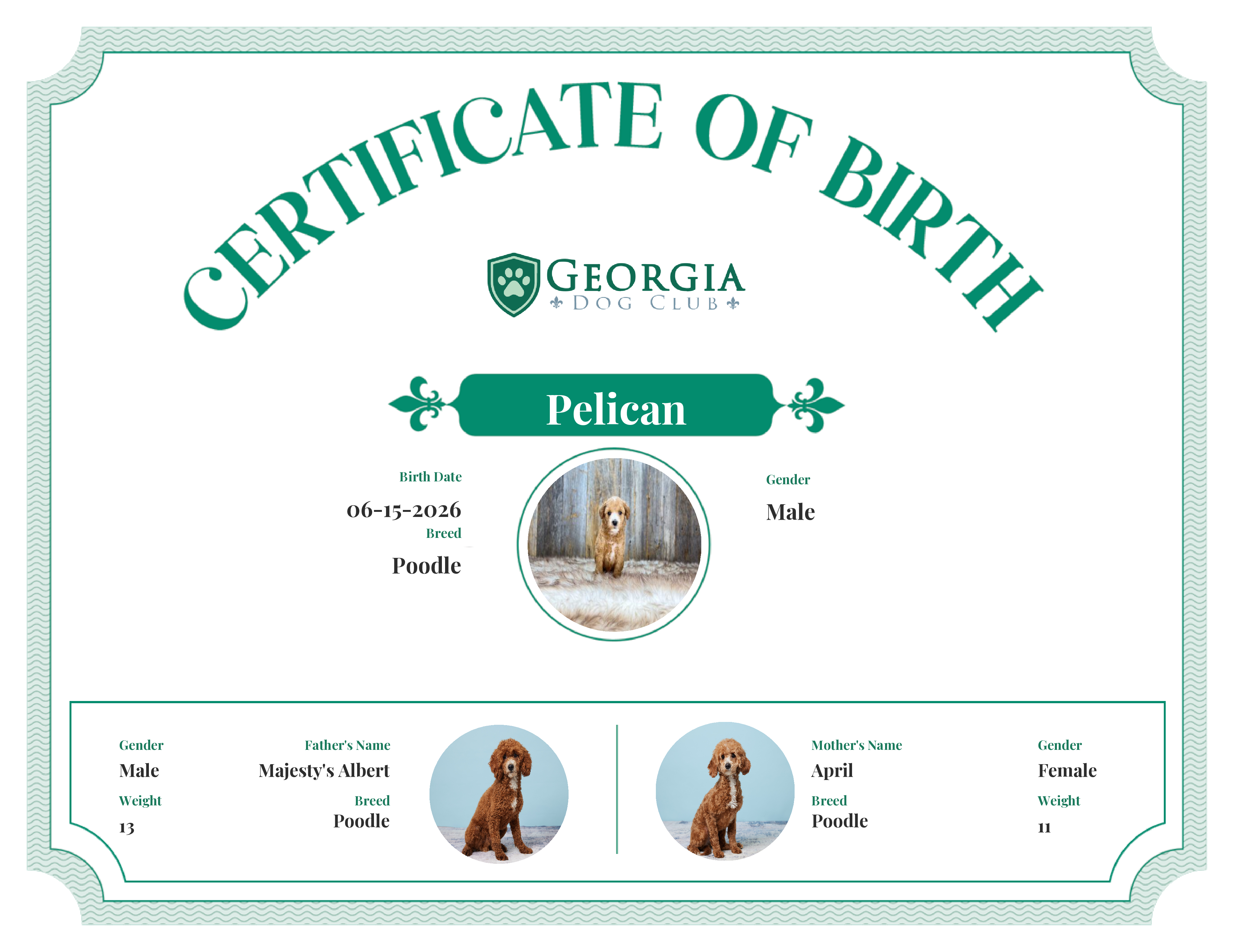 Pelican's Birth Certificate