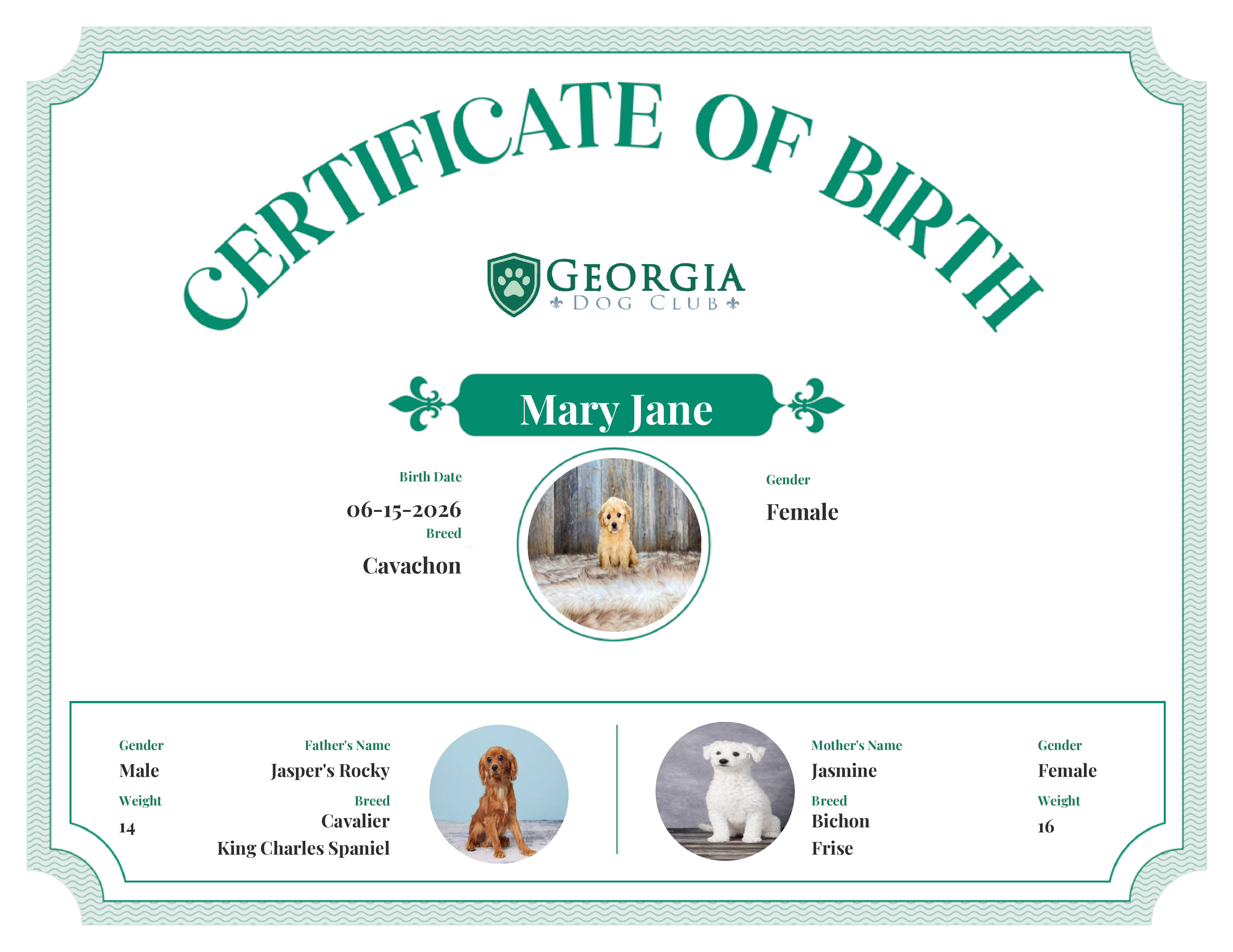 Mary Jane's Birth Certificate