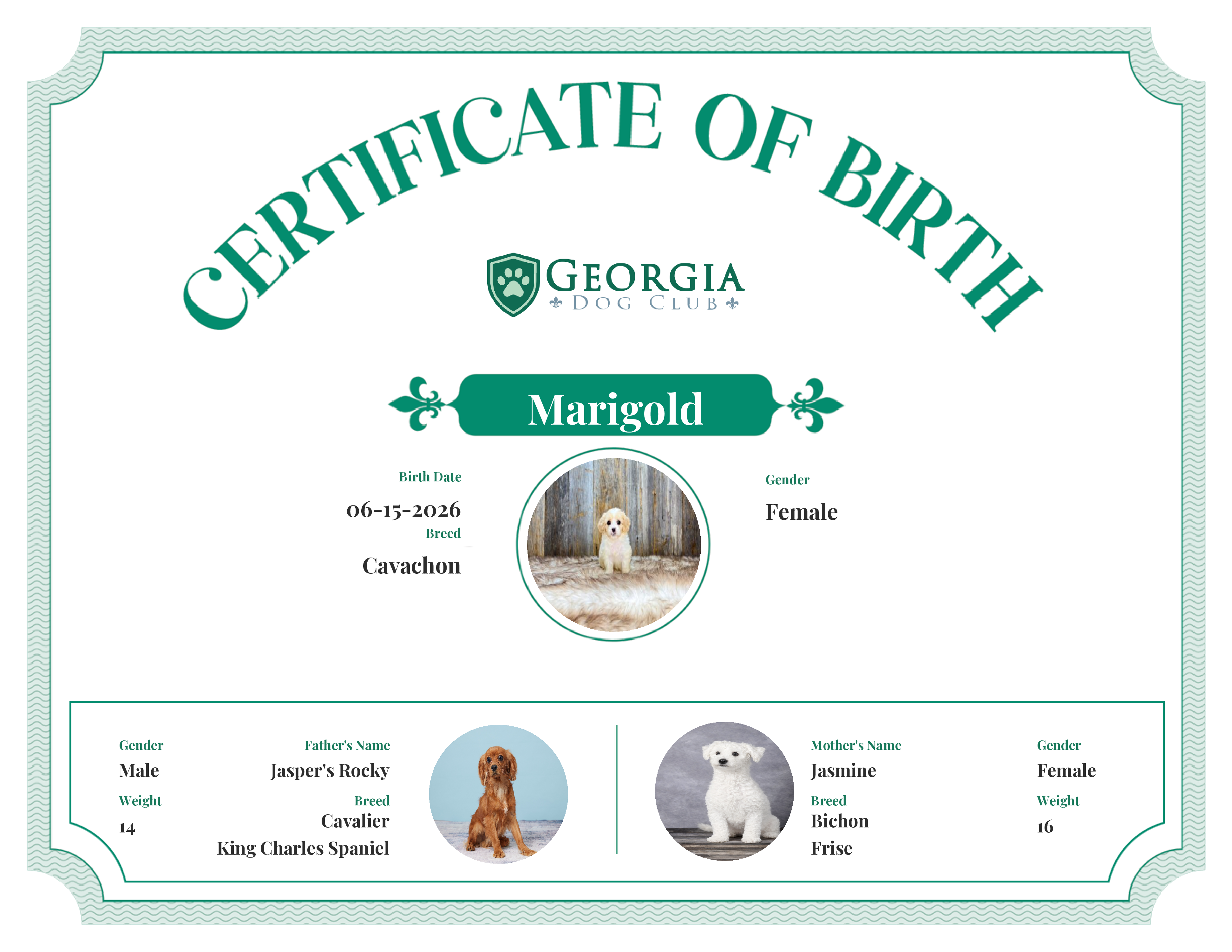 Marigold's Birth Certificate