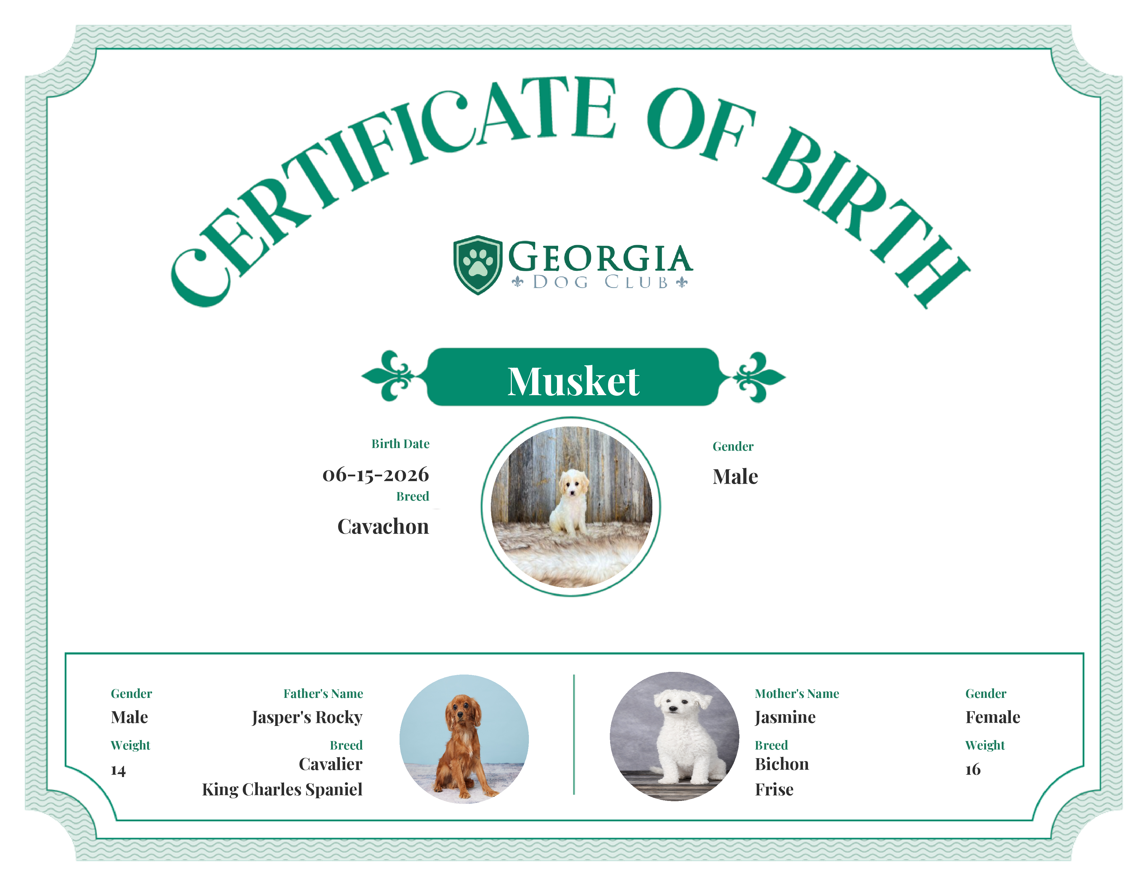 Musket's Birth Certificate