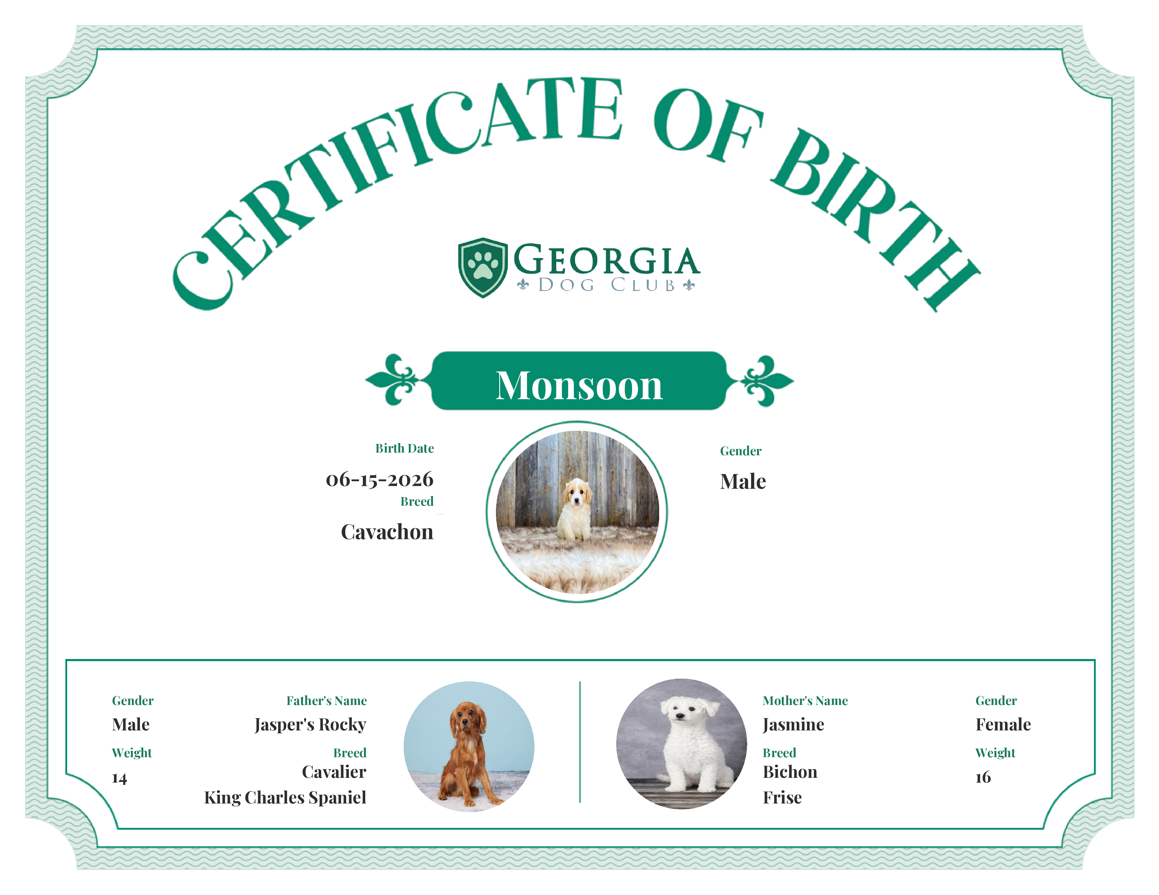 Monsoon's Birth Certificate