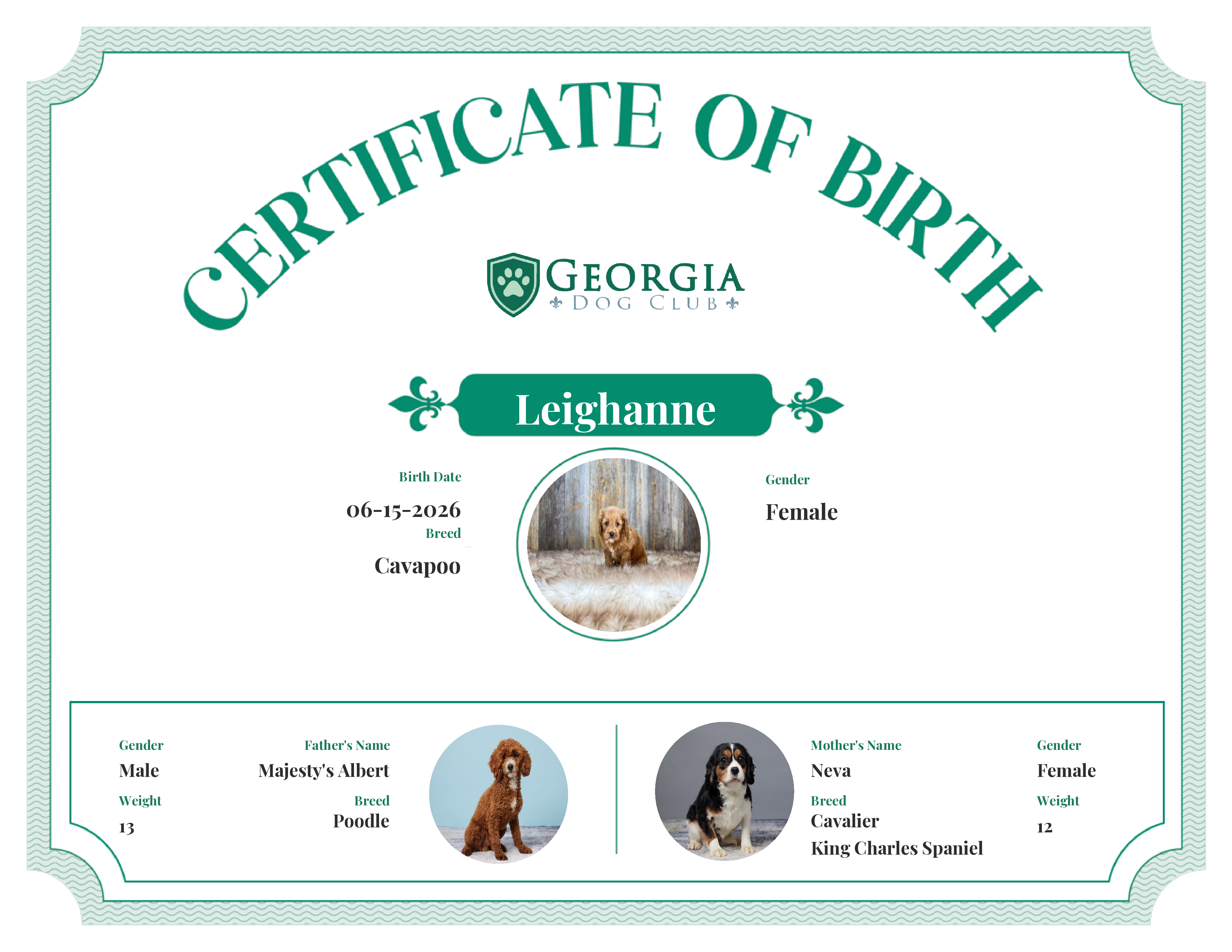 Leighanne's Birth Certificate