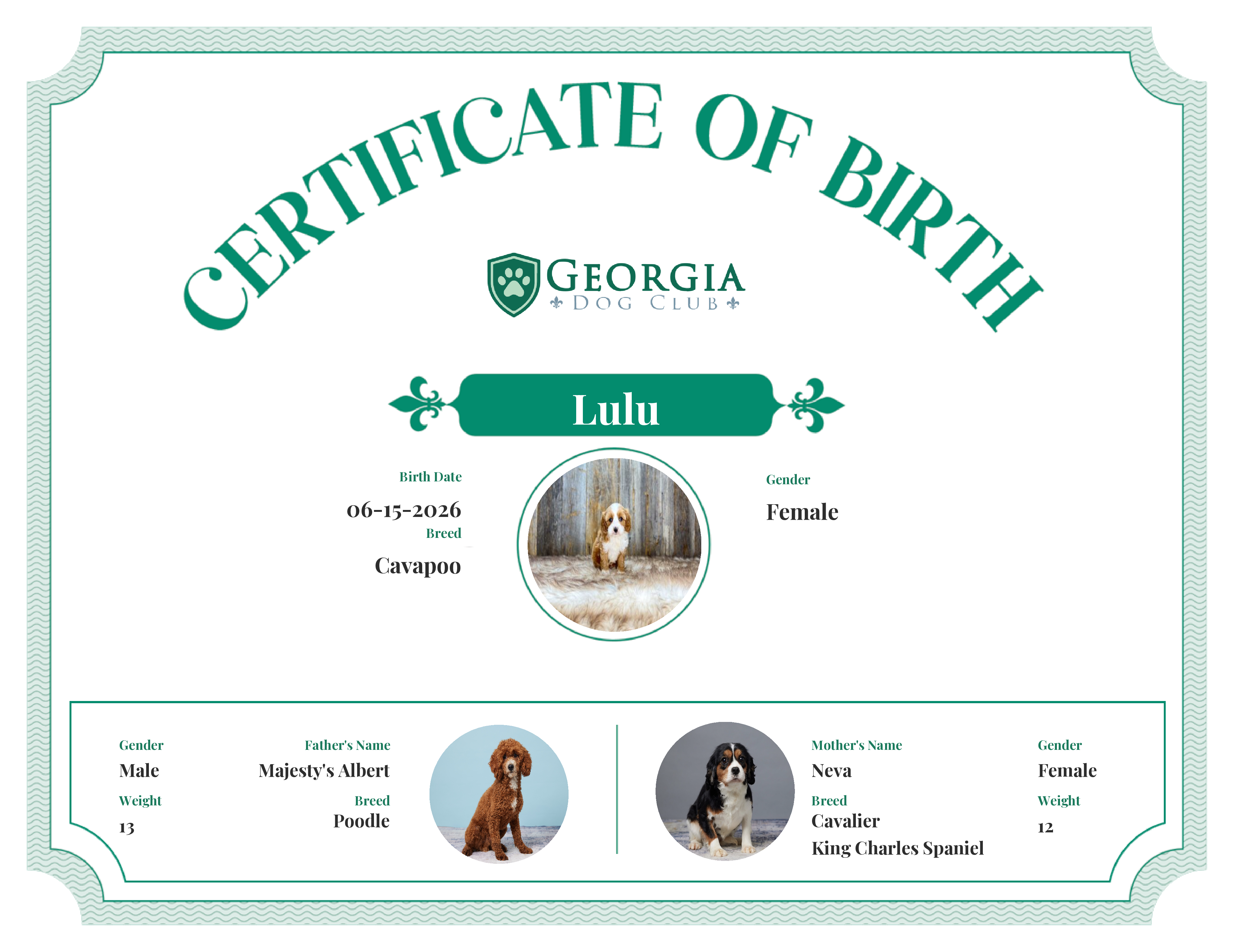 Lulu's Birth Certificate