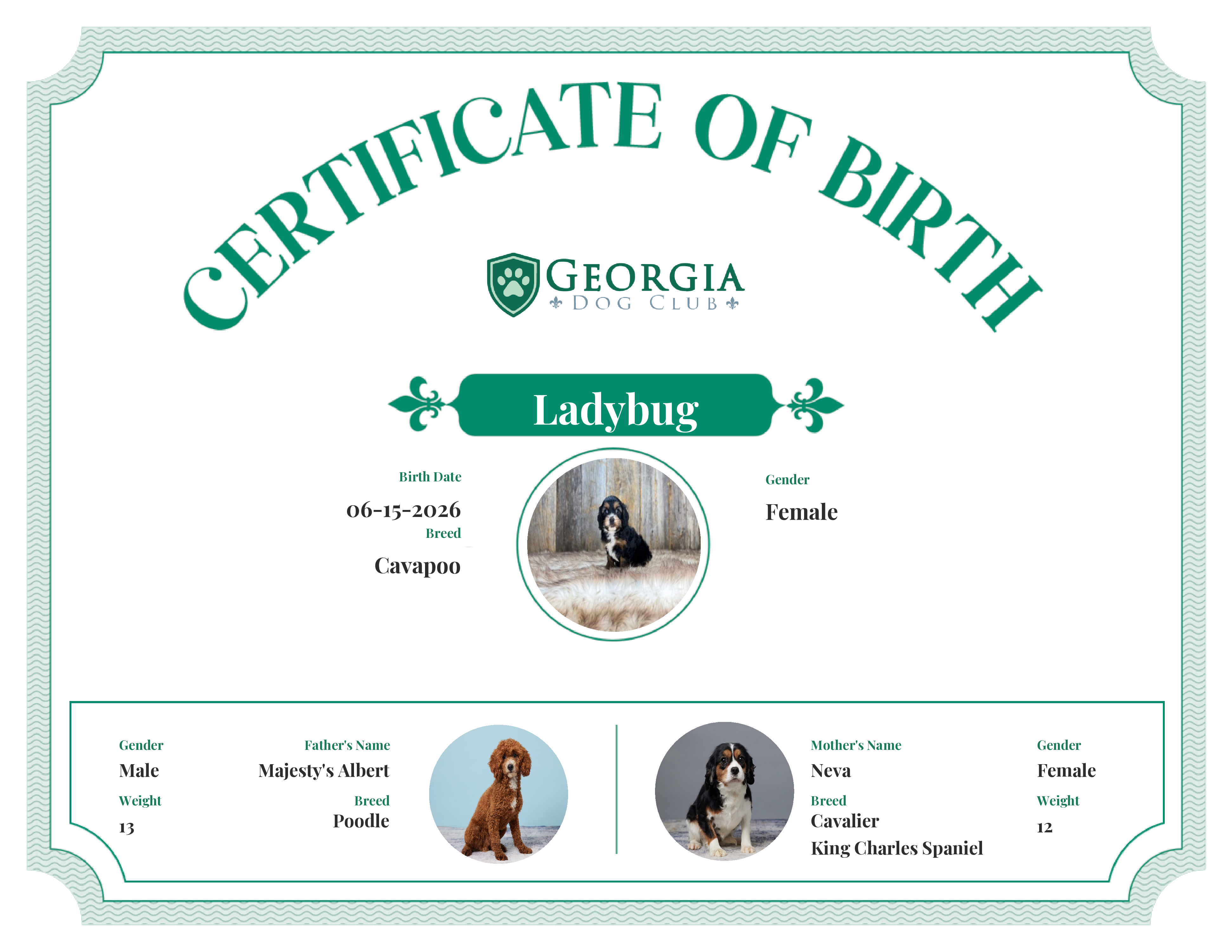 Ladybug's Birth Certificate