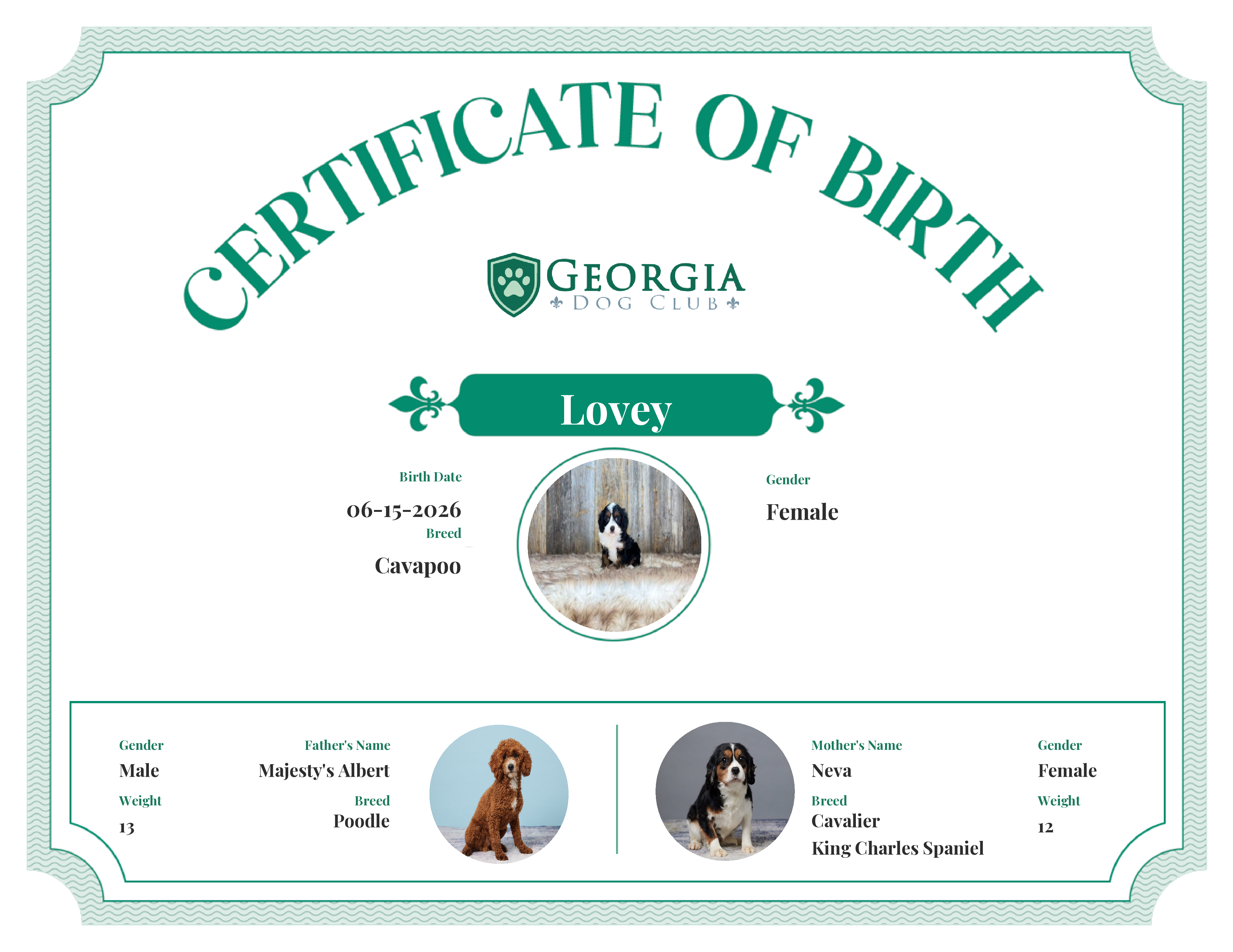 Lovey's Birth Certificate
