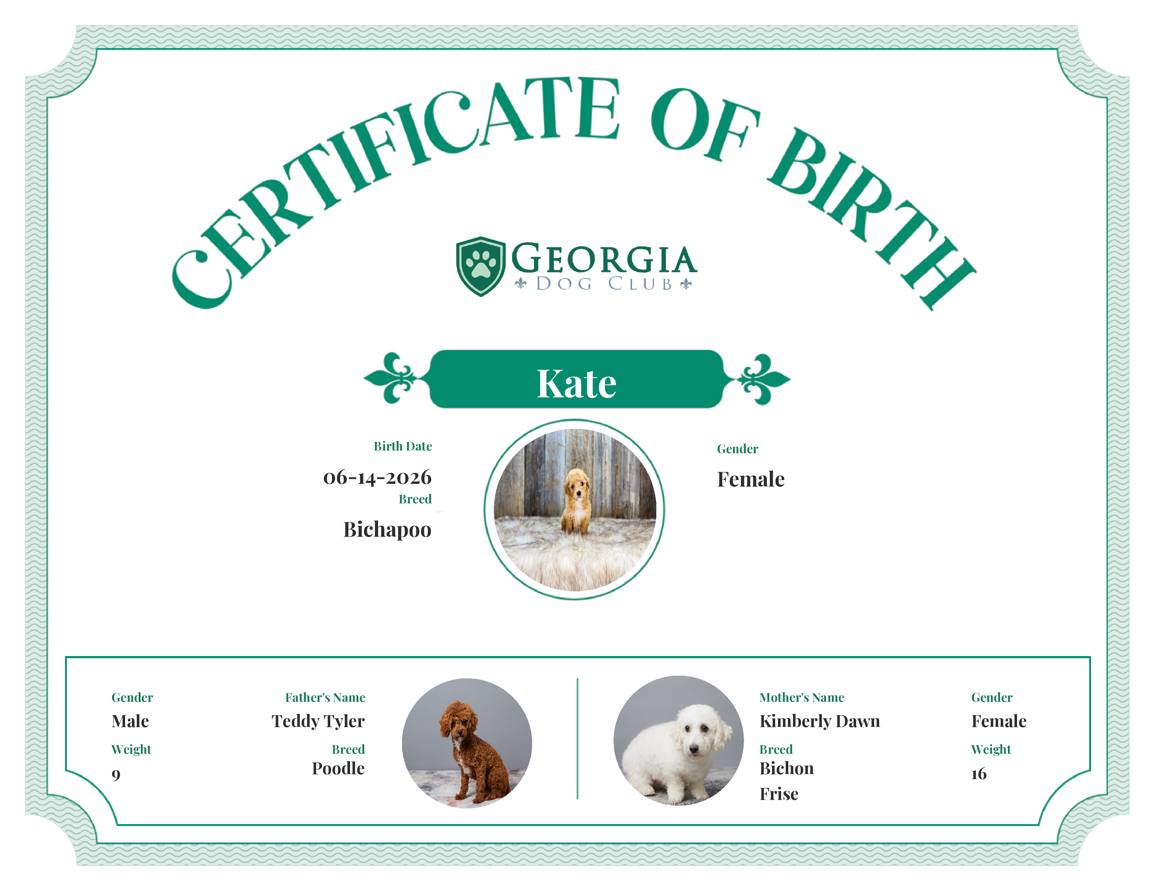 Kate's Birth Certificate