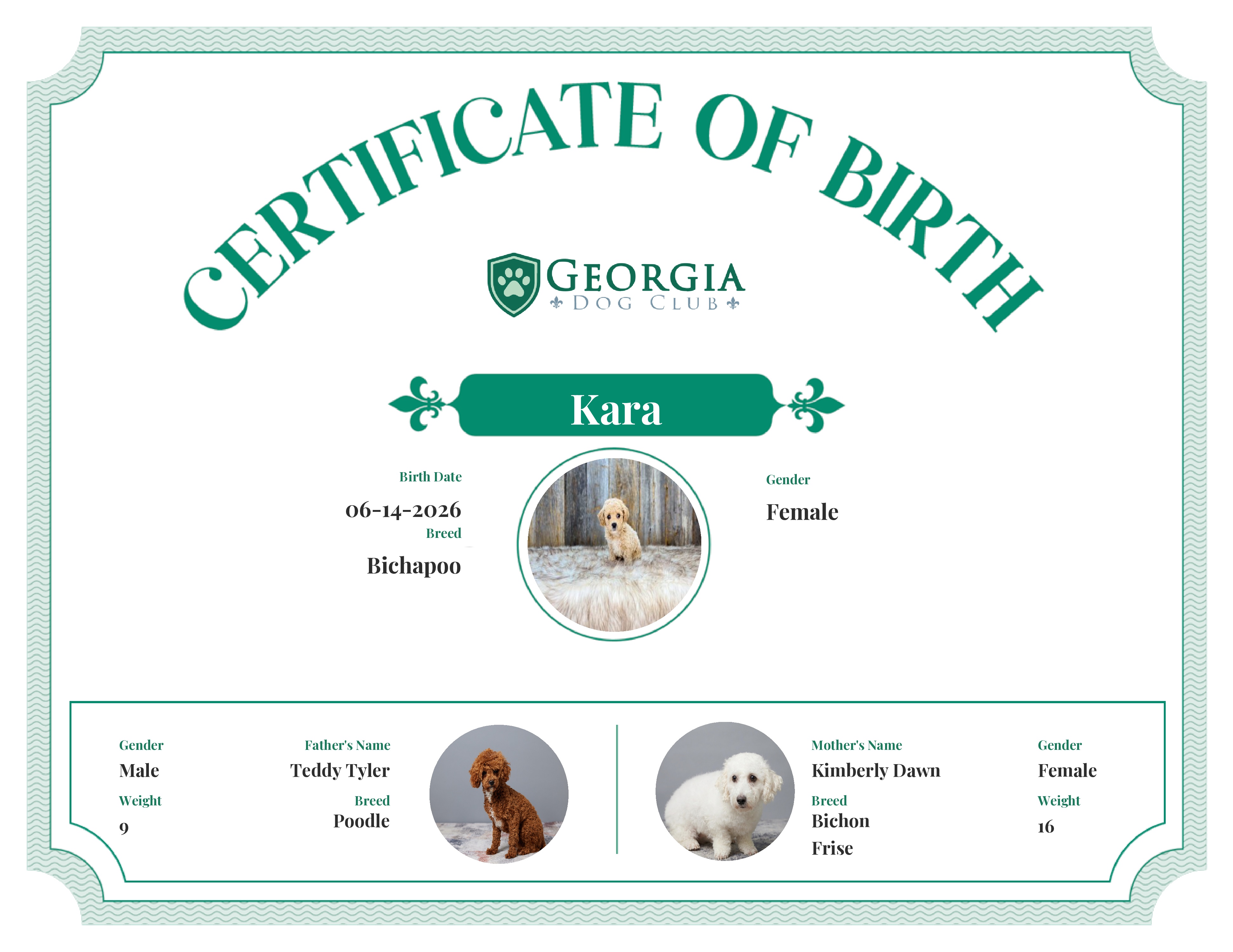 Kara's Birth Certificate