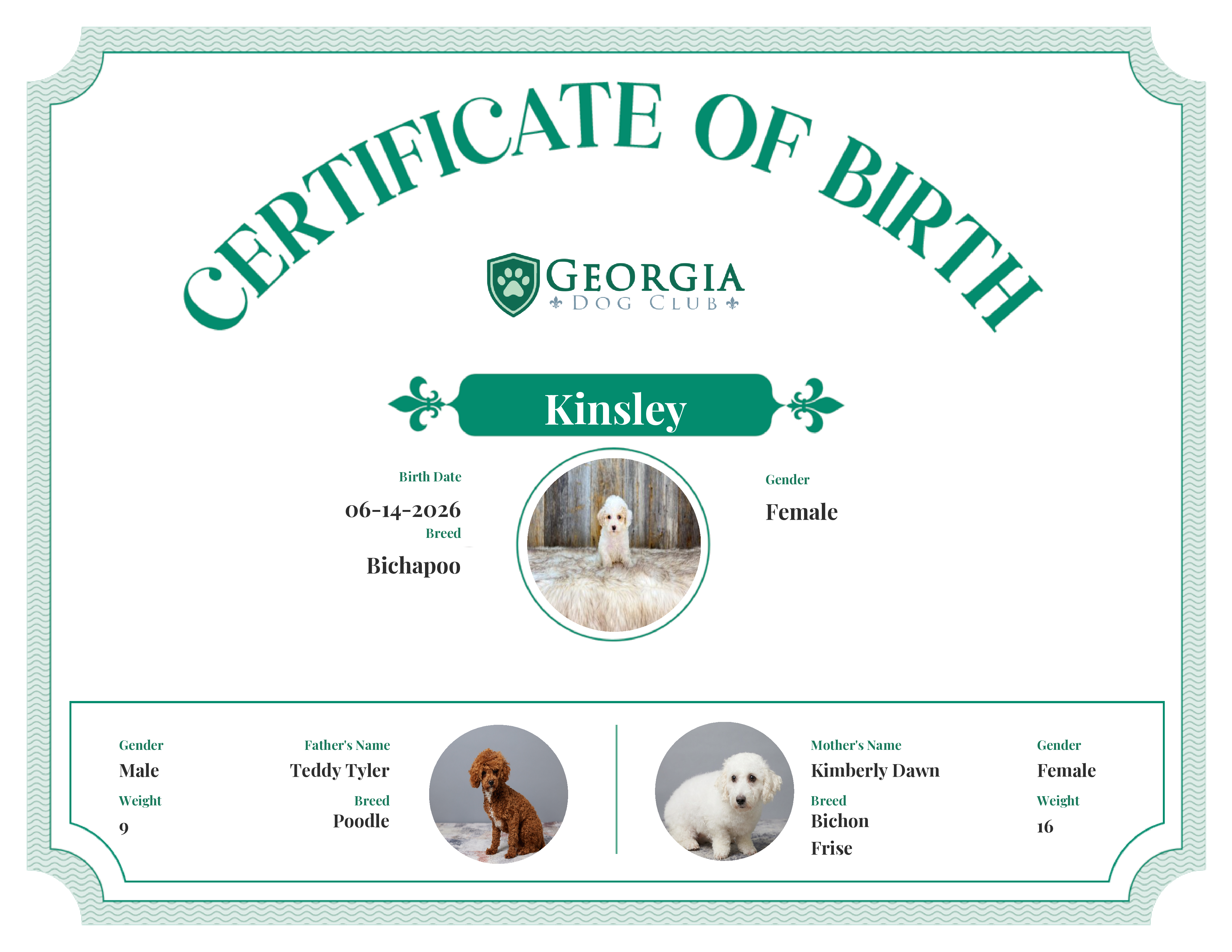 Kinsley's Birth Certificate