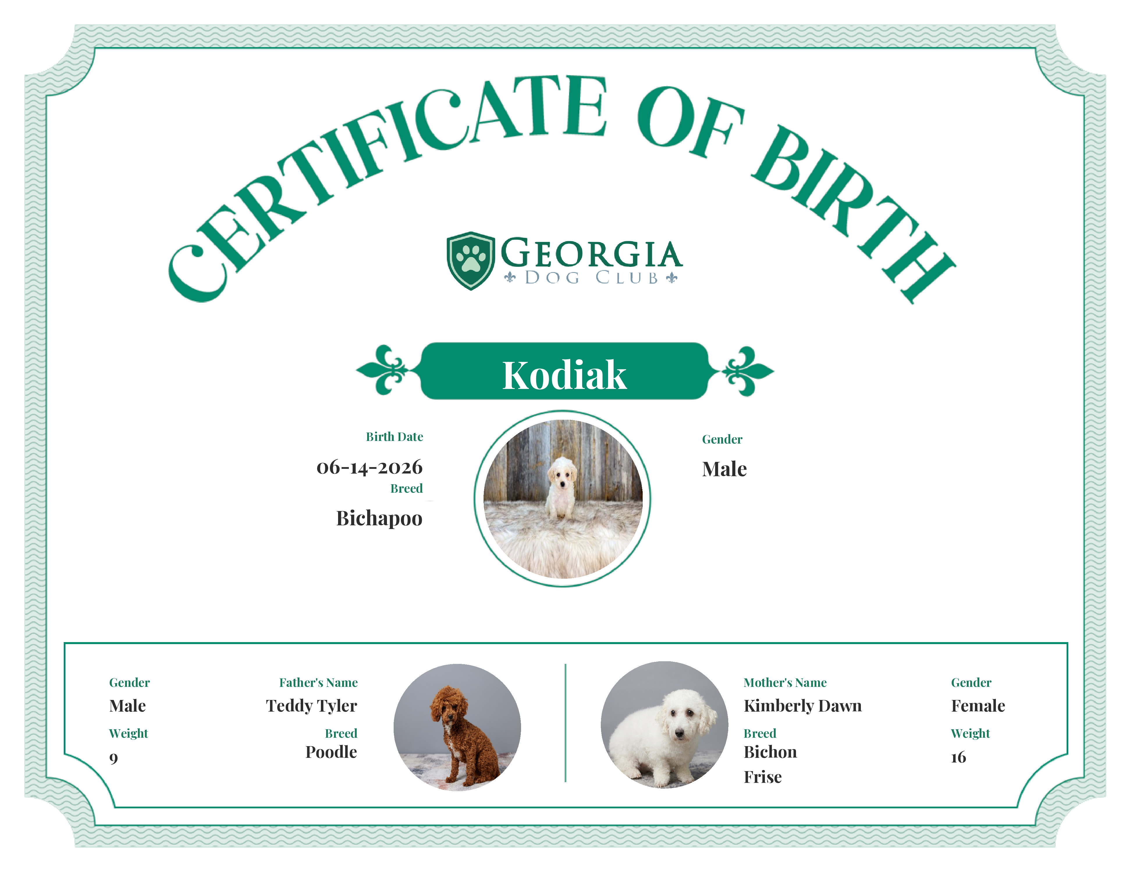 Kodiak's Birth Certificate