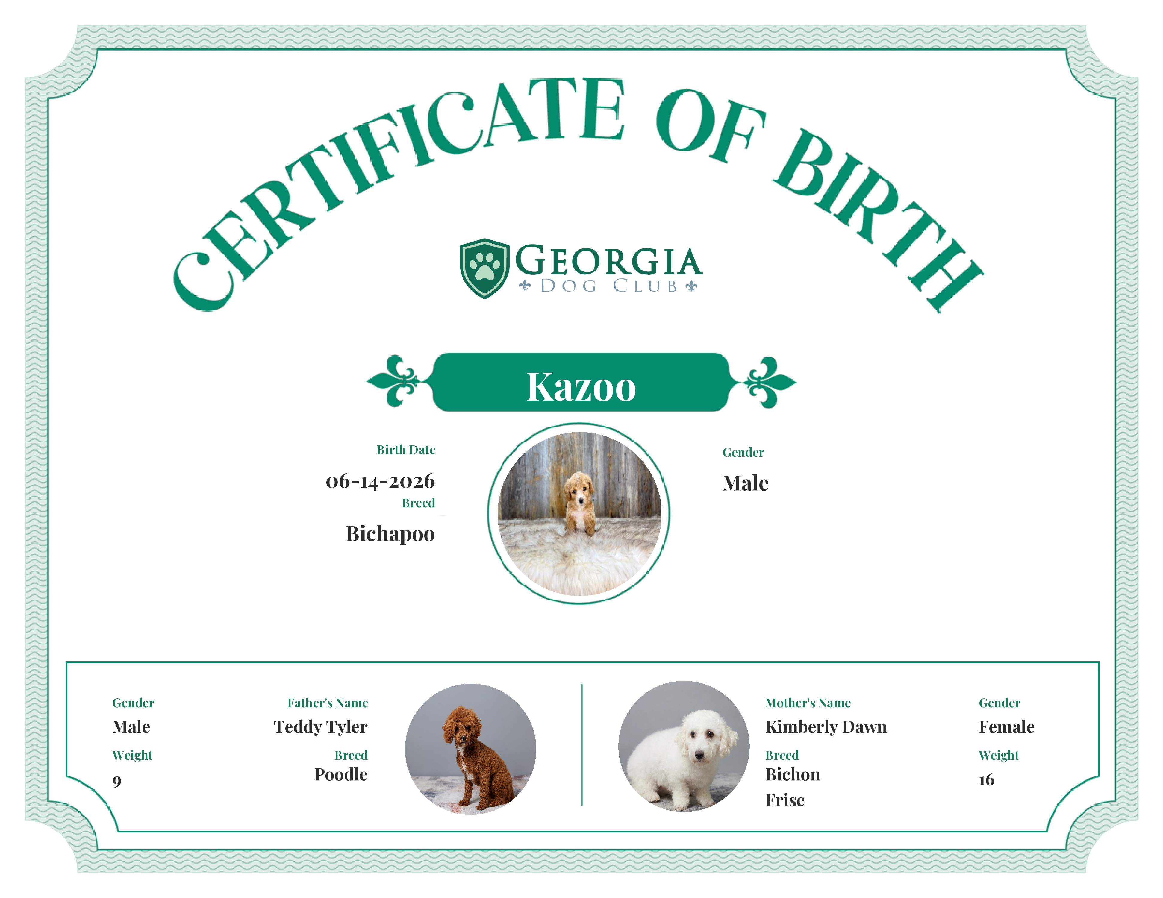 Kazoo's Birth Certificate