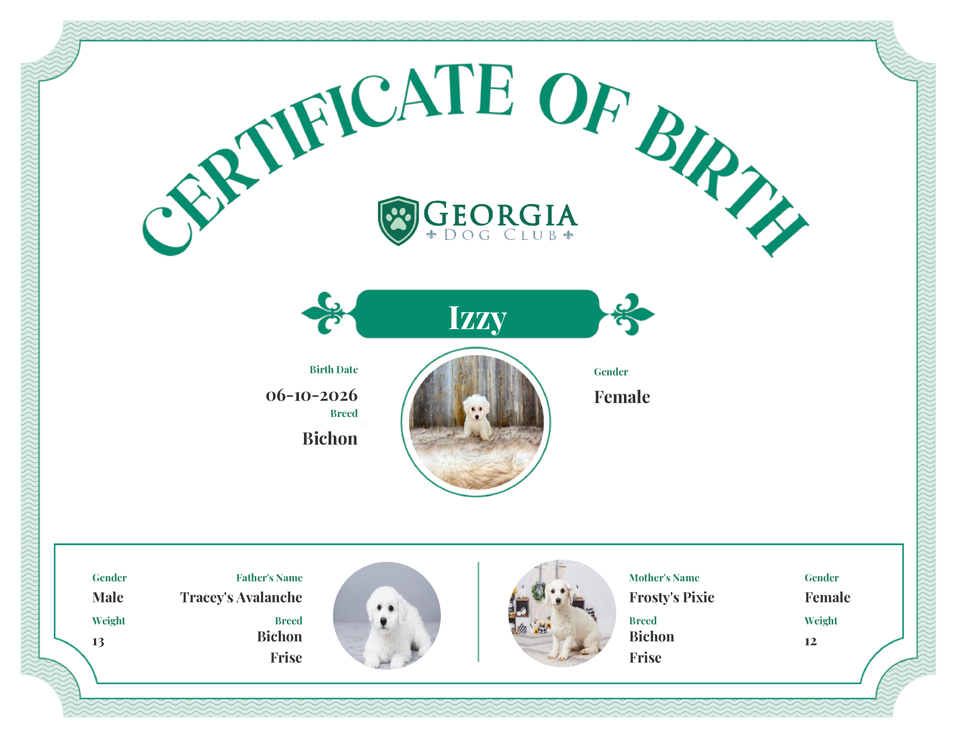 Izzy's Birth Certificate