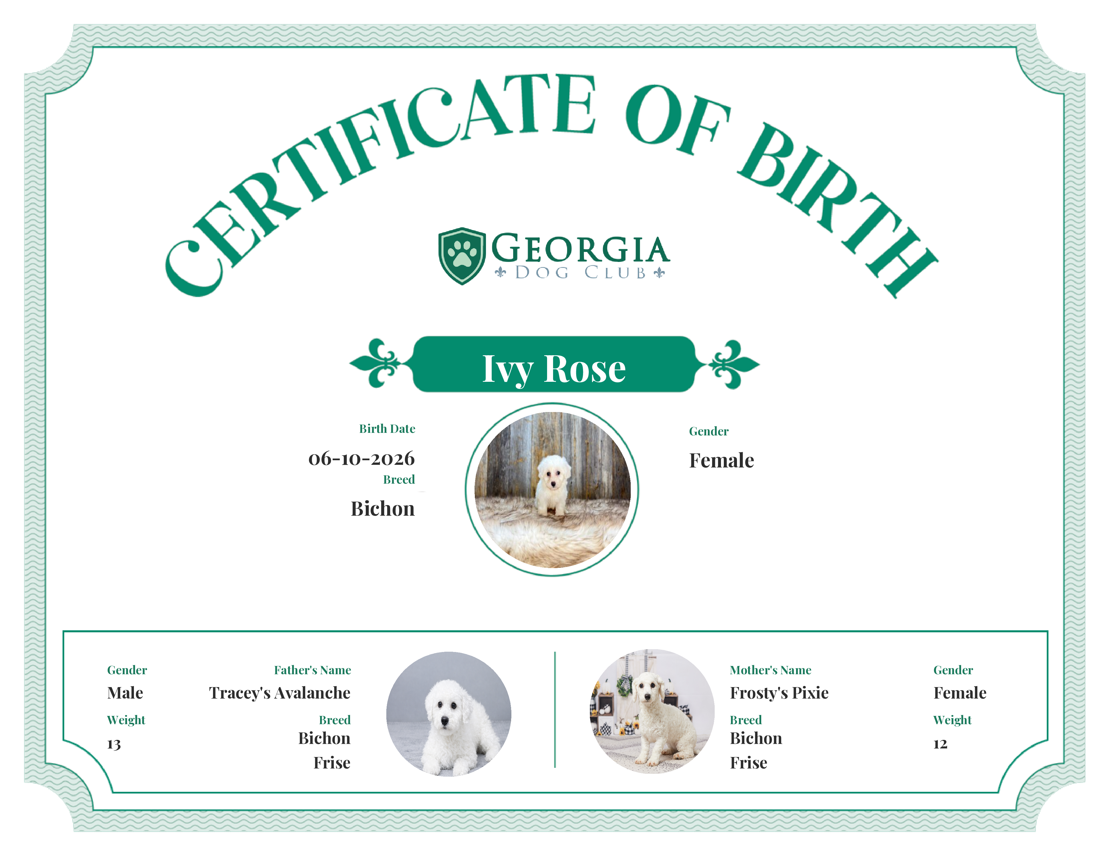 Ivy Rose's Birth Certificate