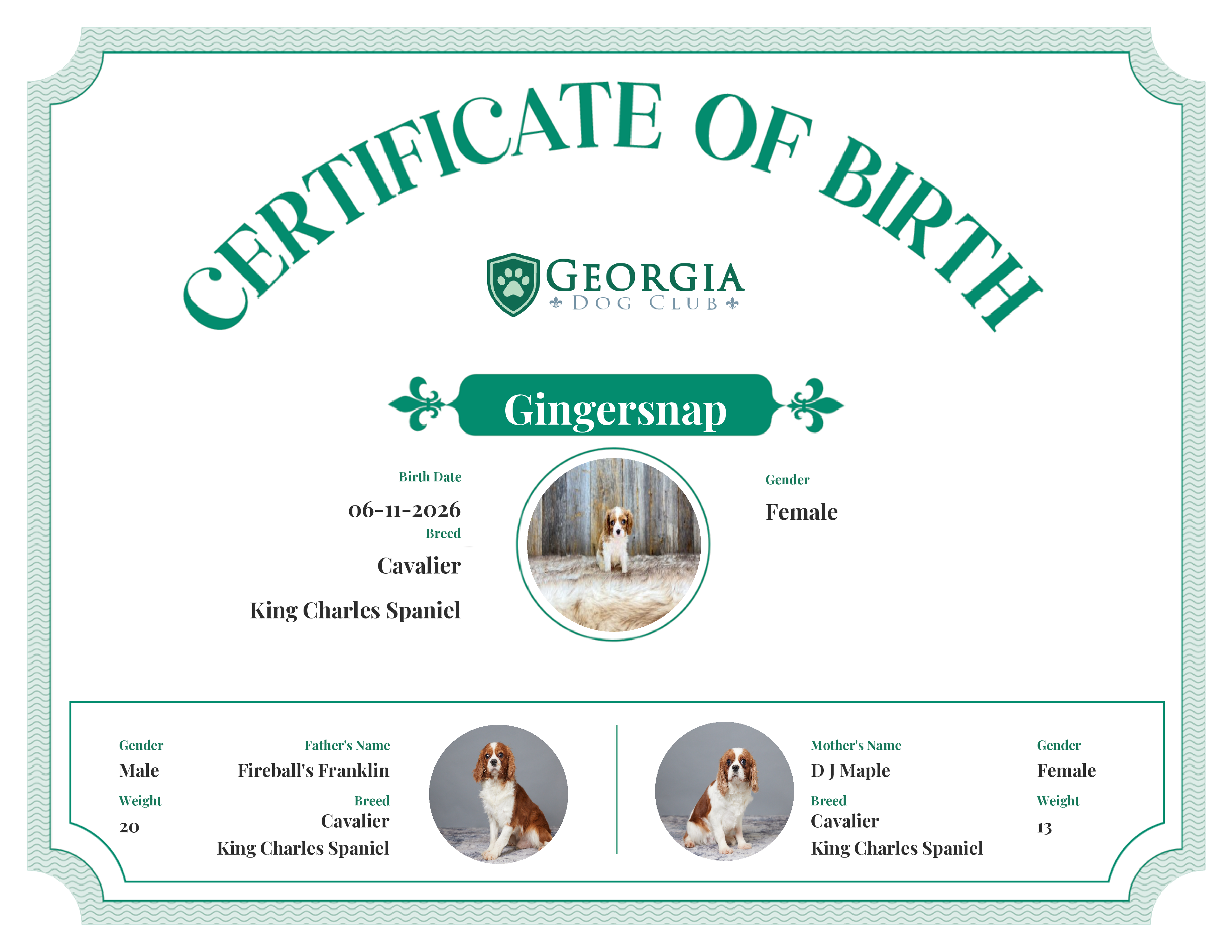 Gingersnap's Birth Certificate