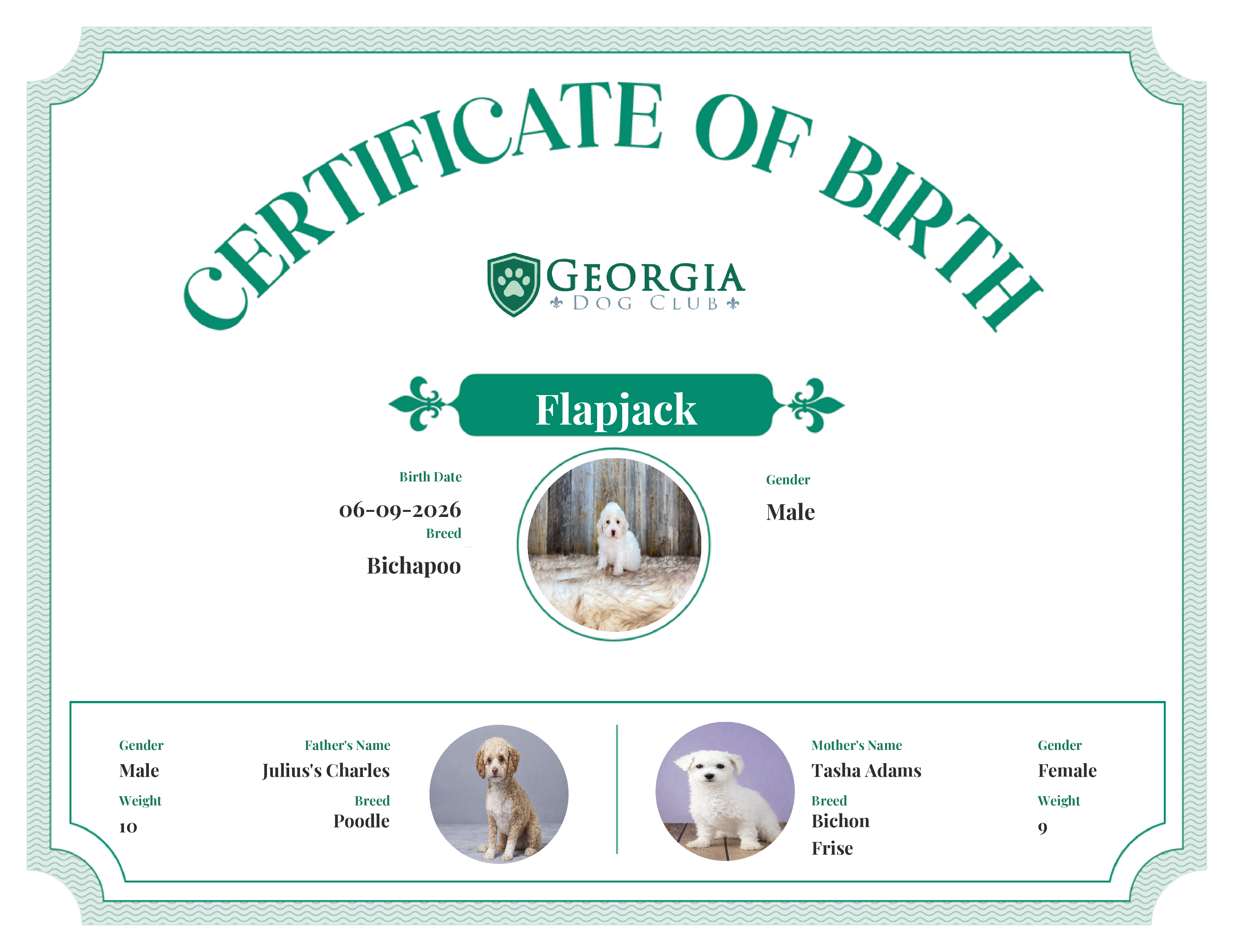 Flapjack's Birth Certificate
