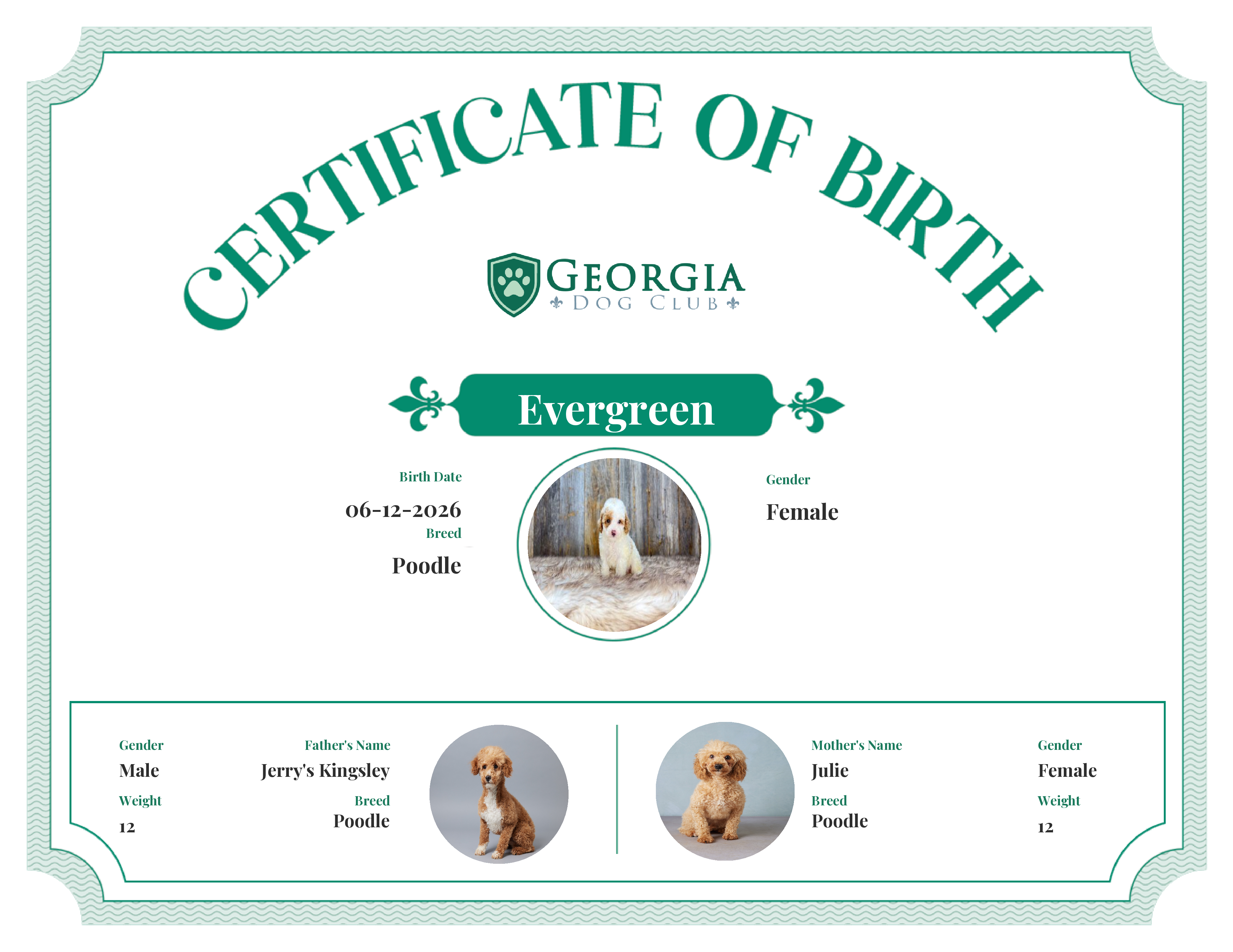 Evergreen's Birth Certificate