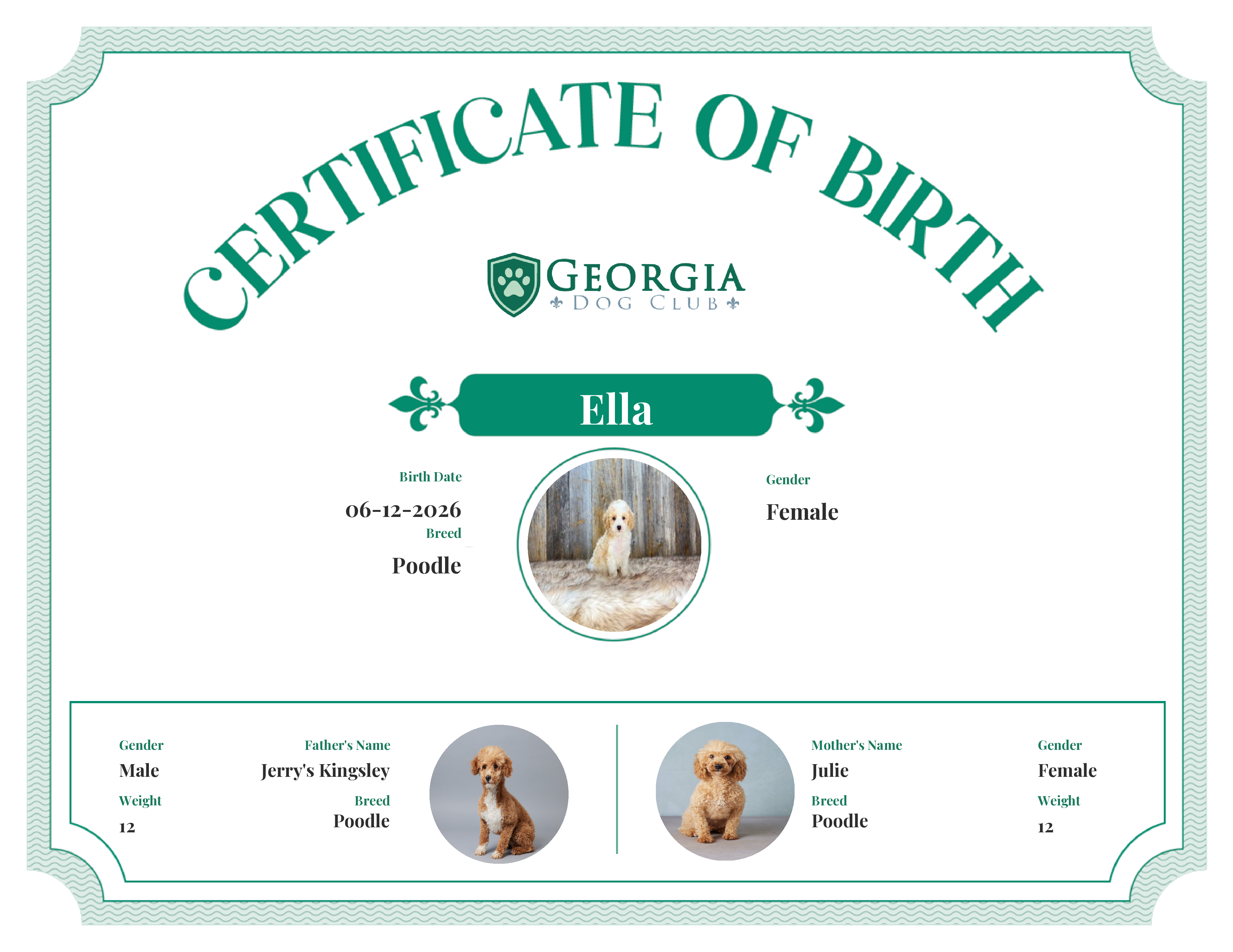 Ella's Birth Certificate