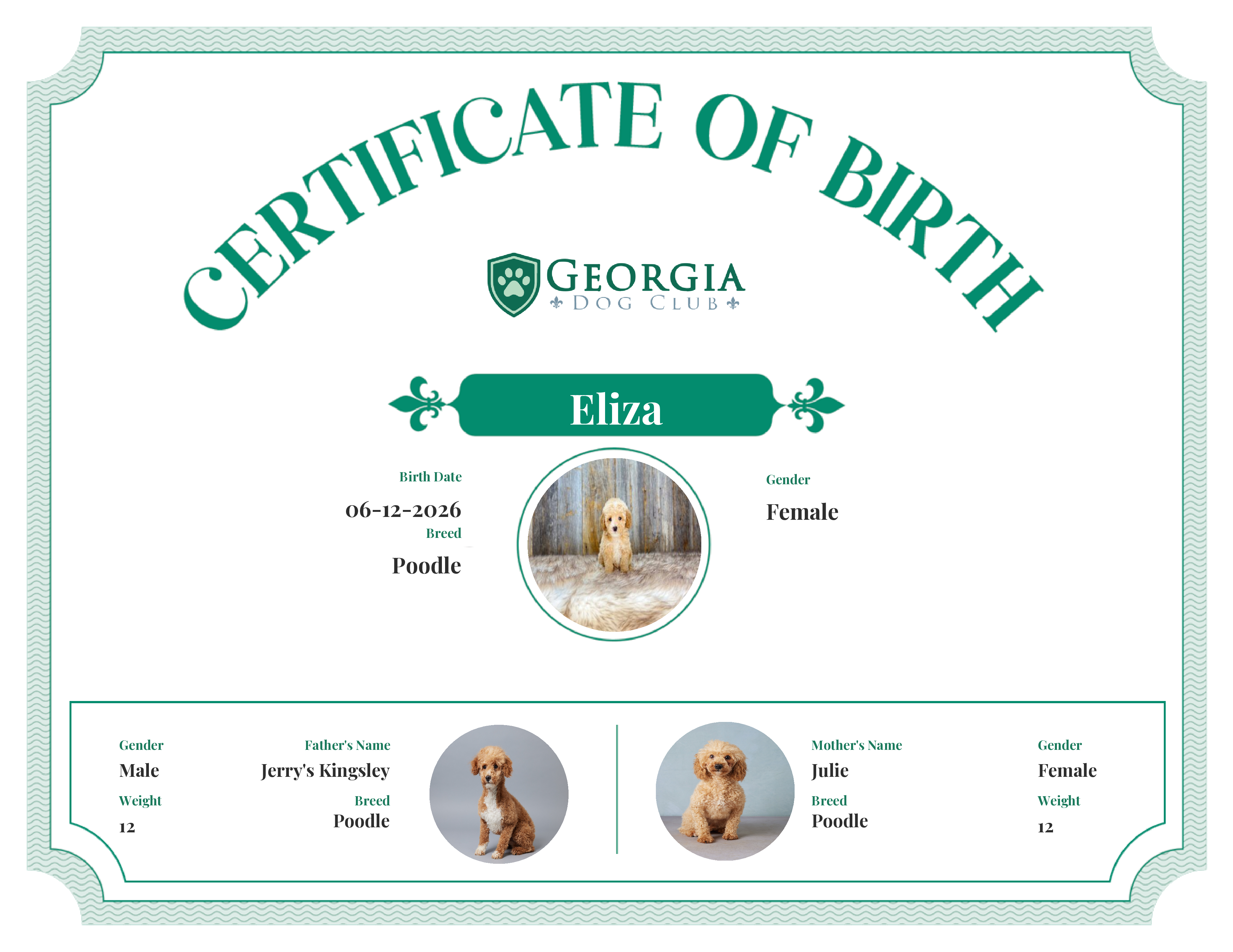 Eliza's Birth Certificate