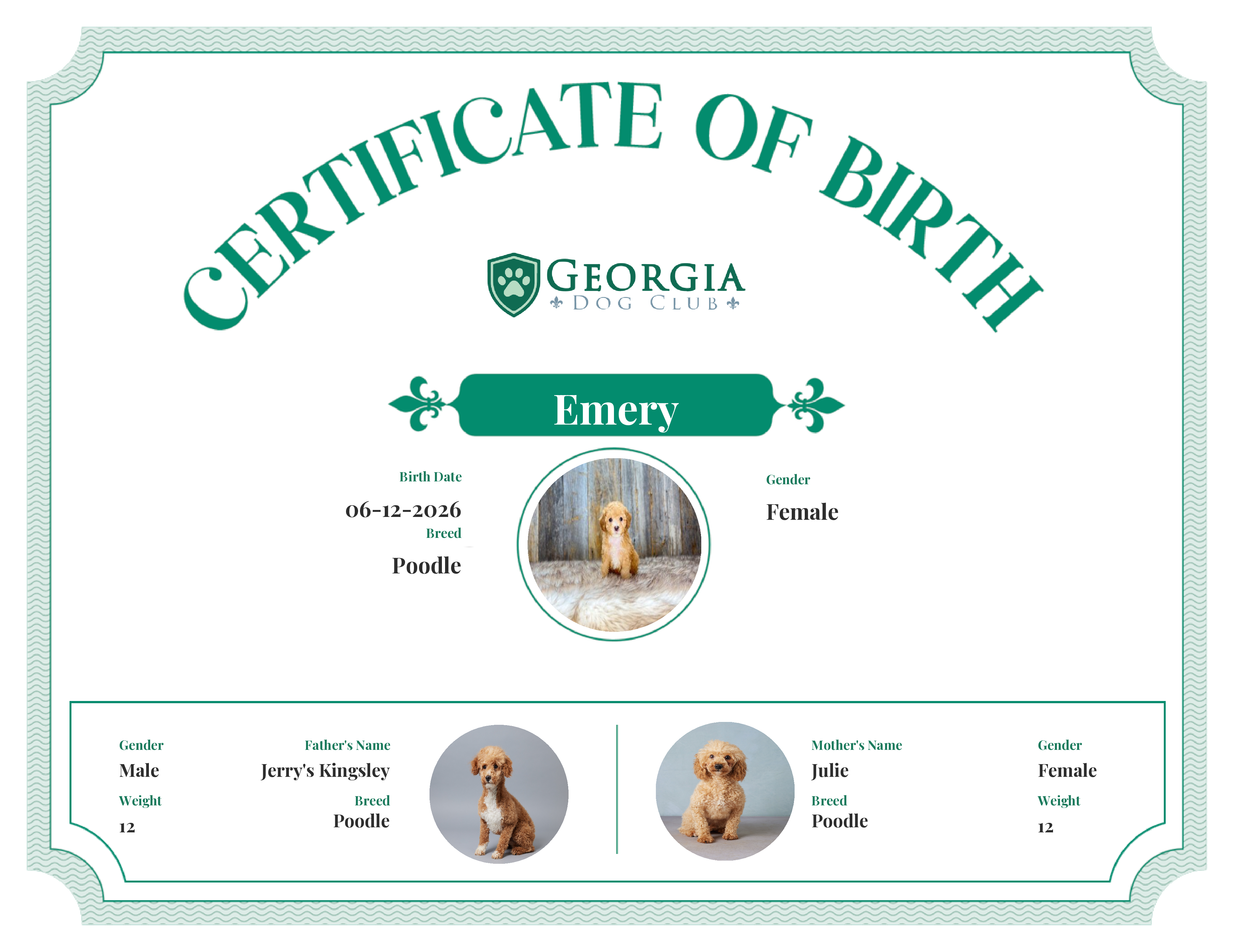 Emery's Birth Certificate