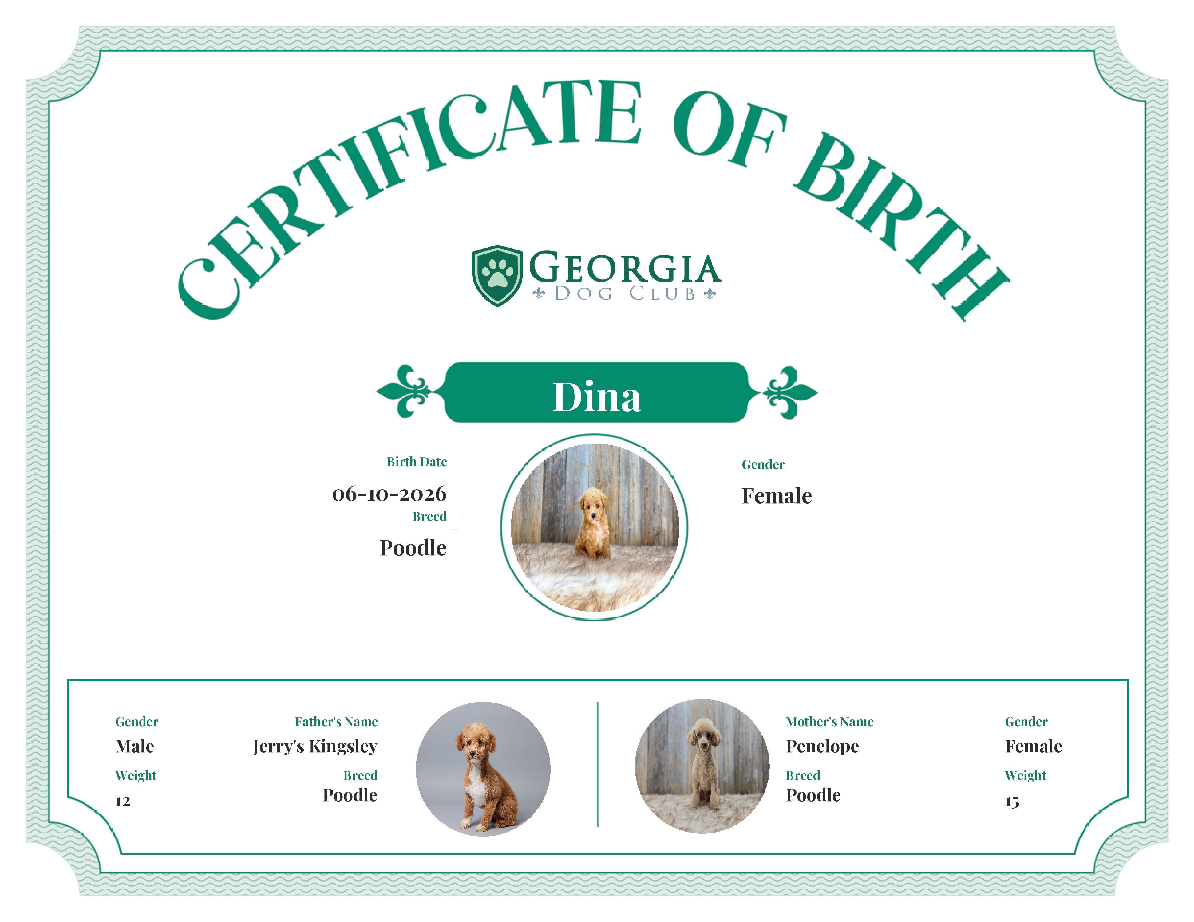 Dina's Birth Certificate