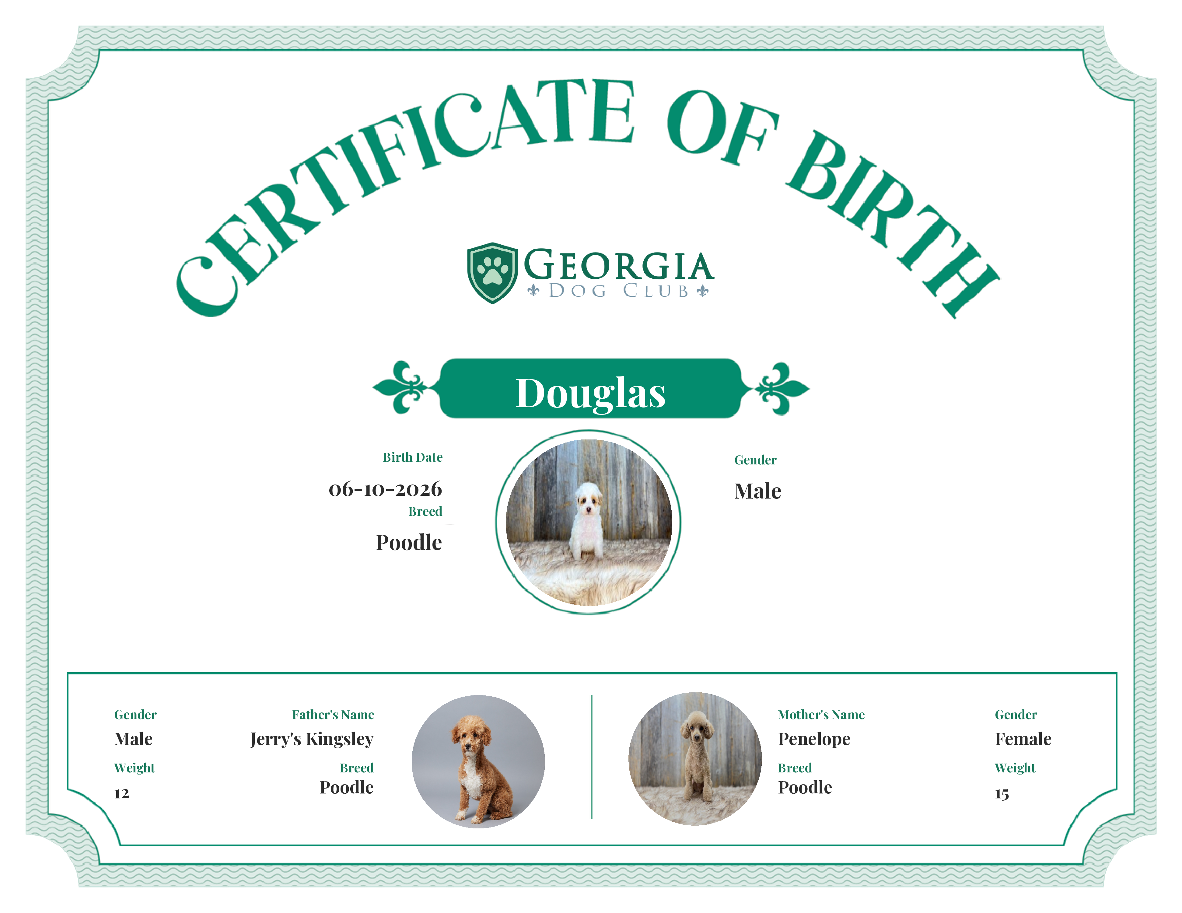 Douglas's Birth Certificate