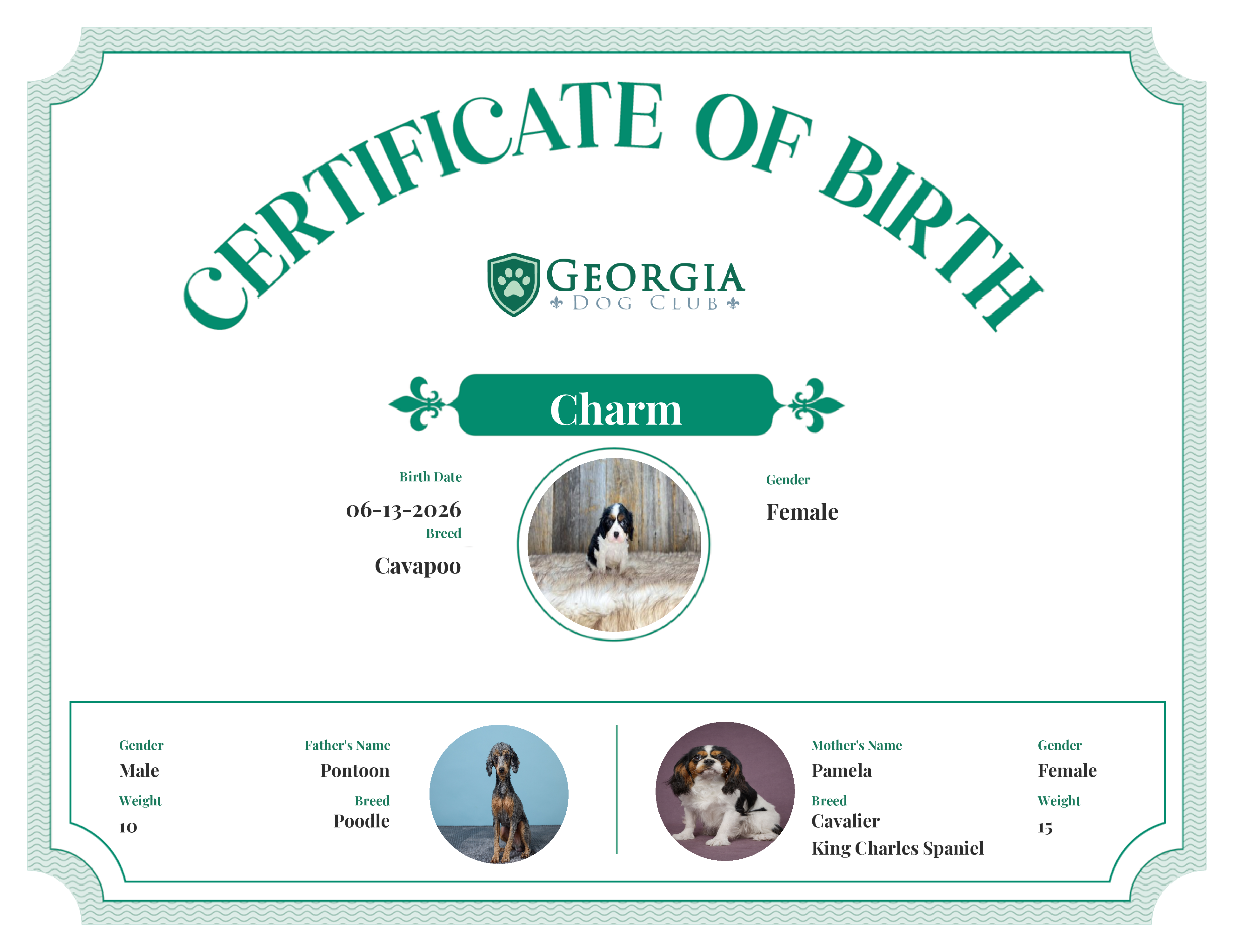 Charm's Birth Certificate