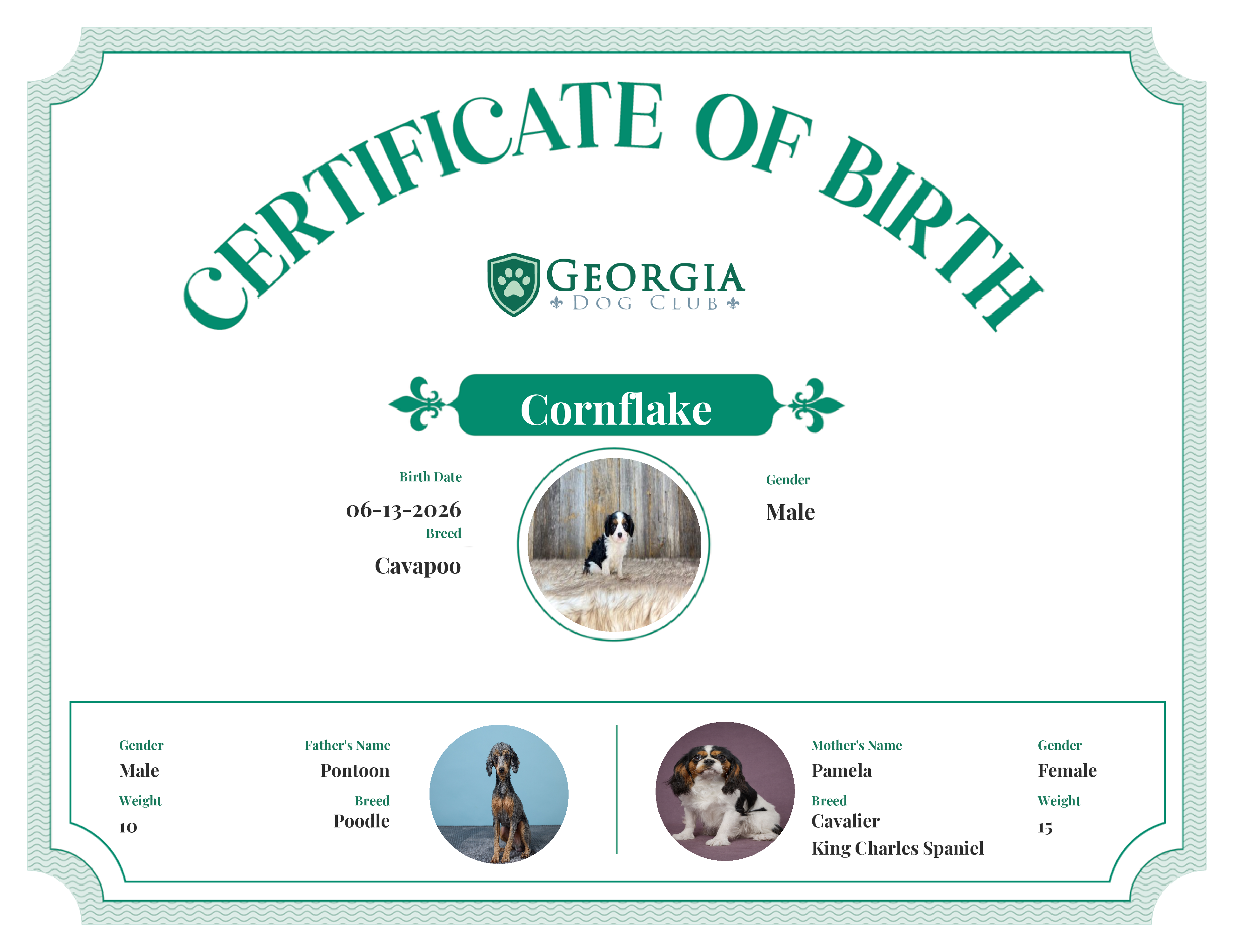 Cornflake's Birth Certificate