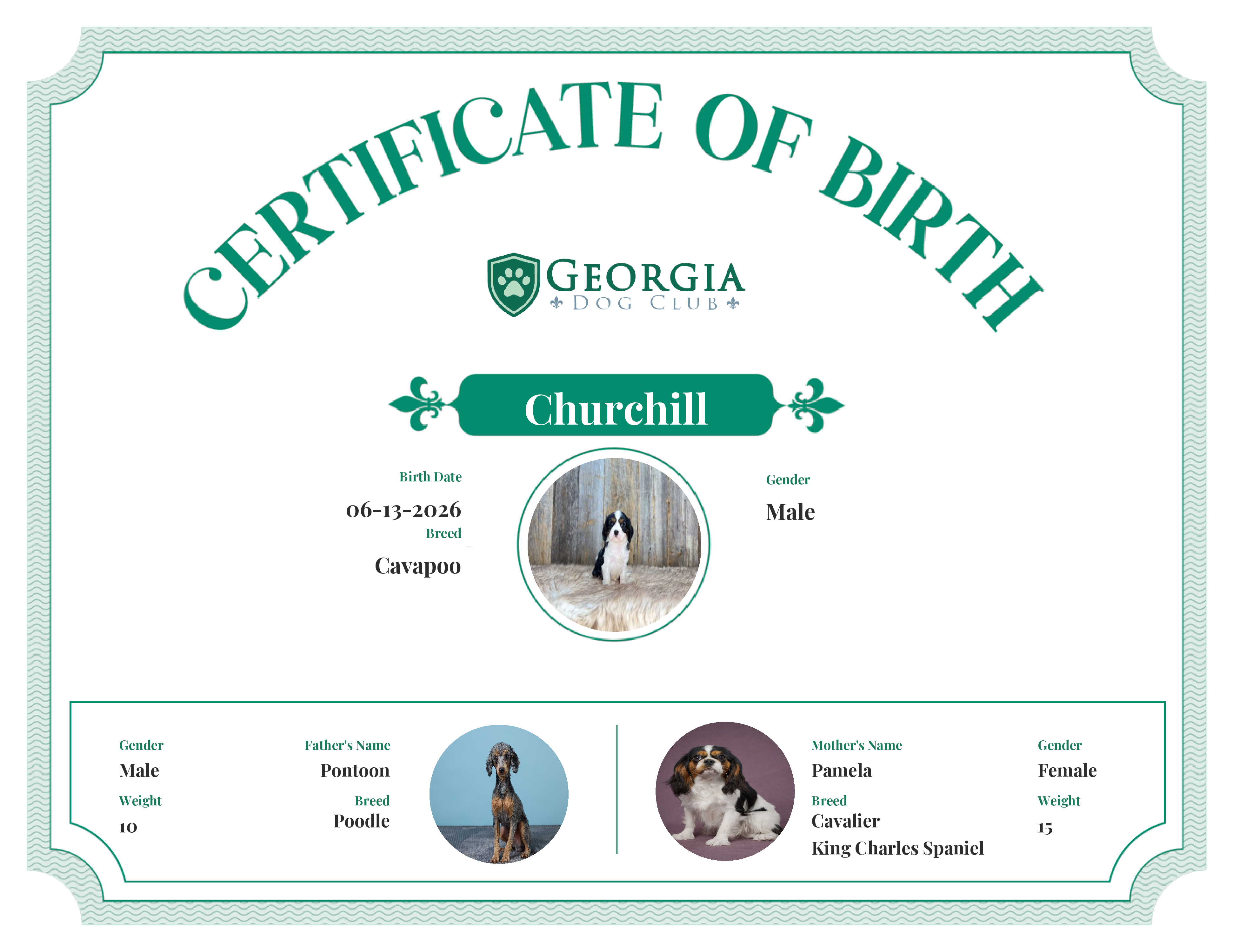 Churchill's Birth Certificate