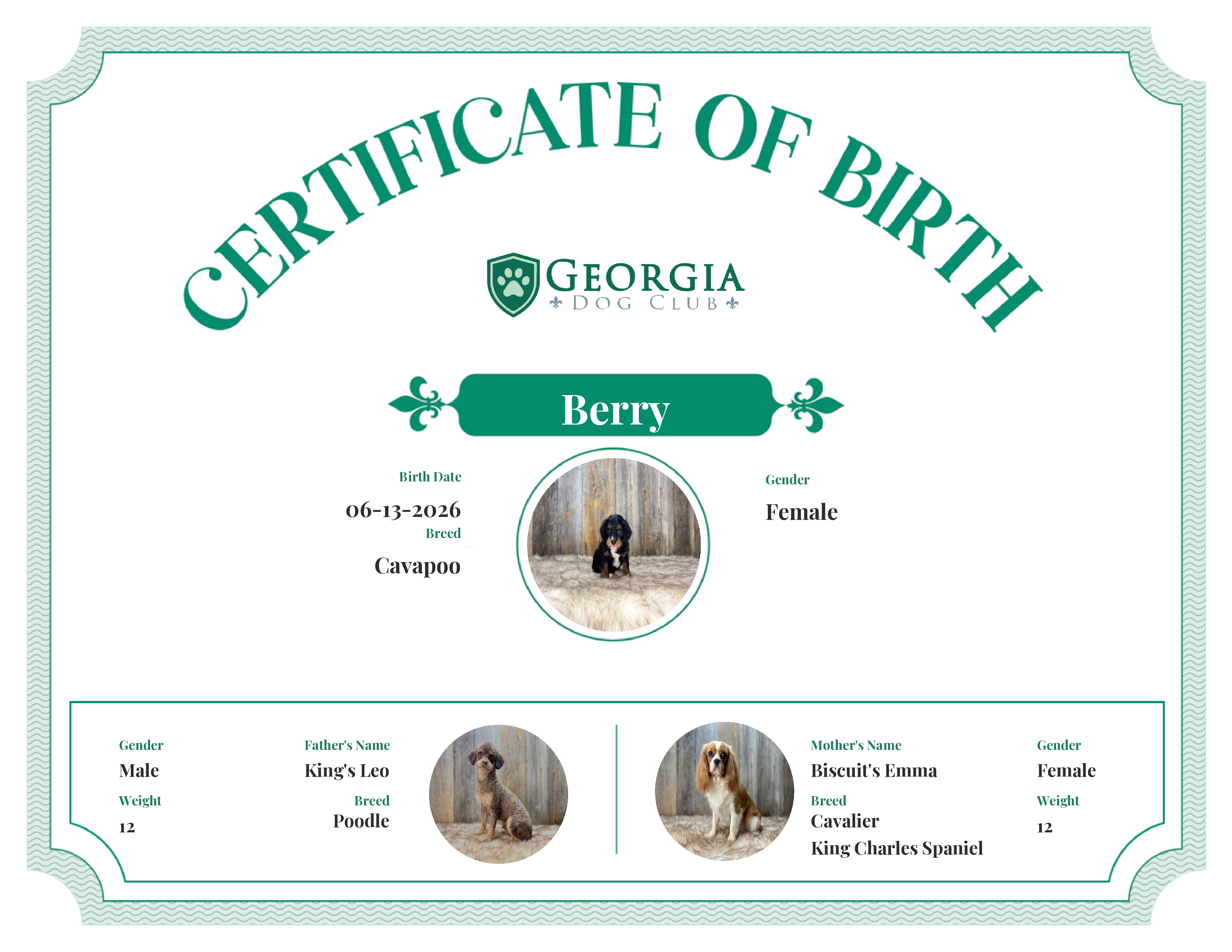 Berry's Birth Certificate