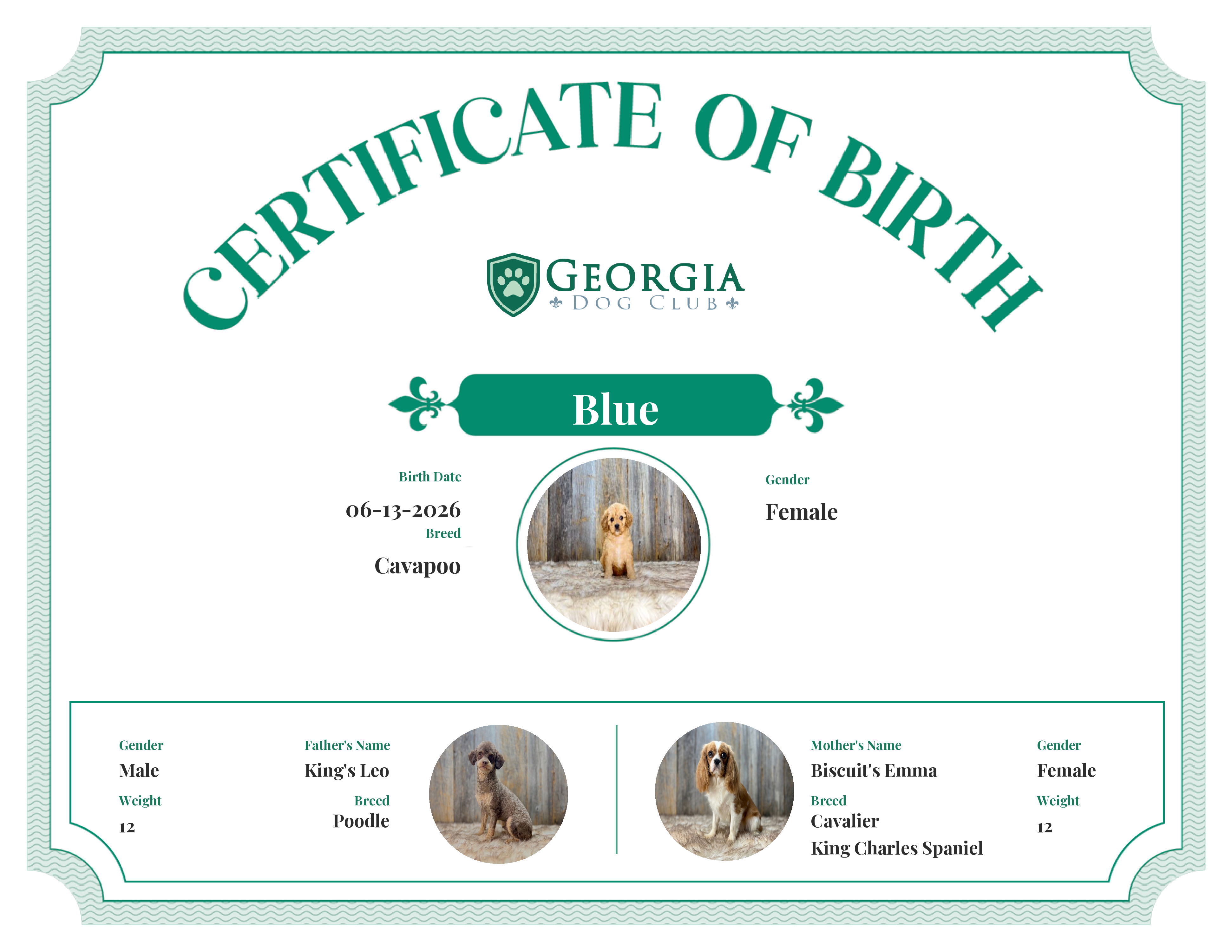 Blue's Birth Certificate