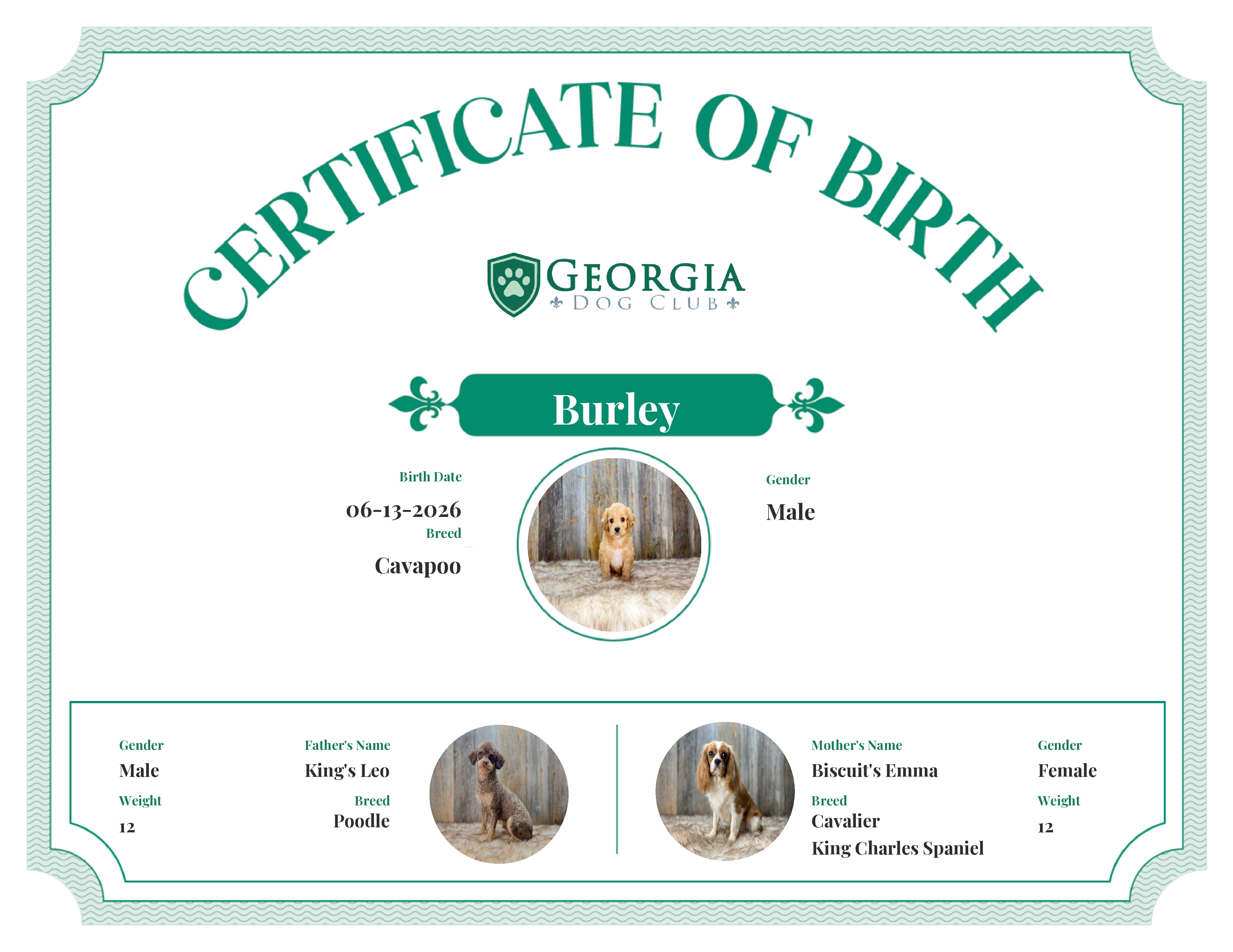 Burley's Birth Certificate
