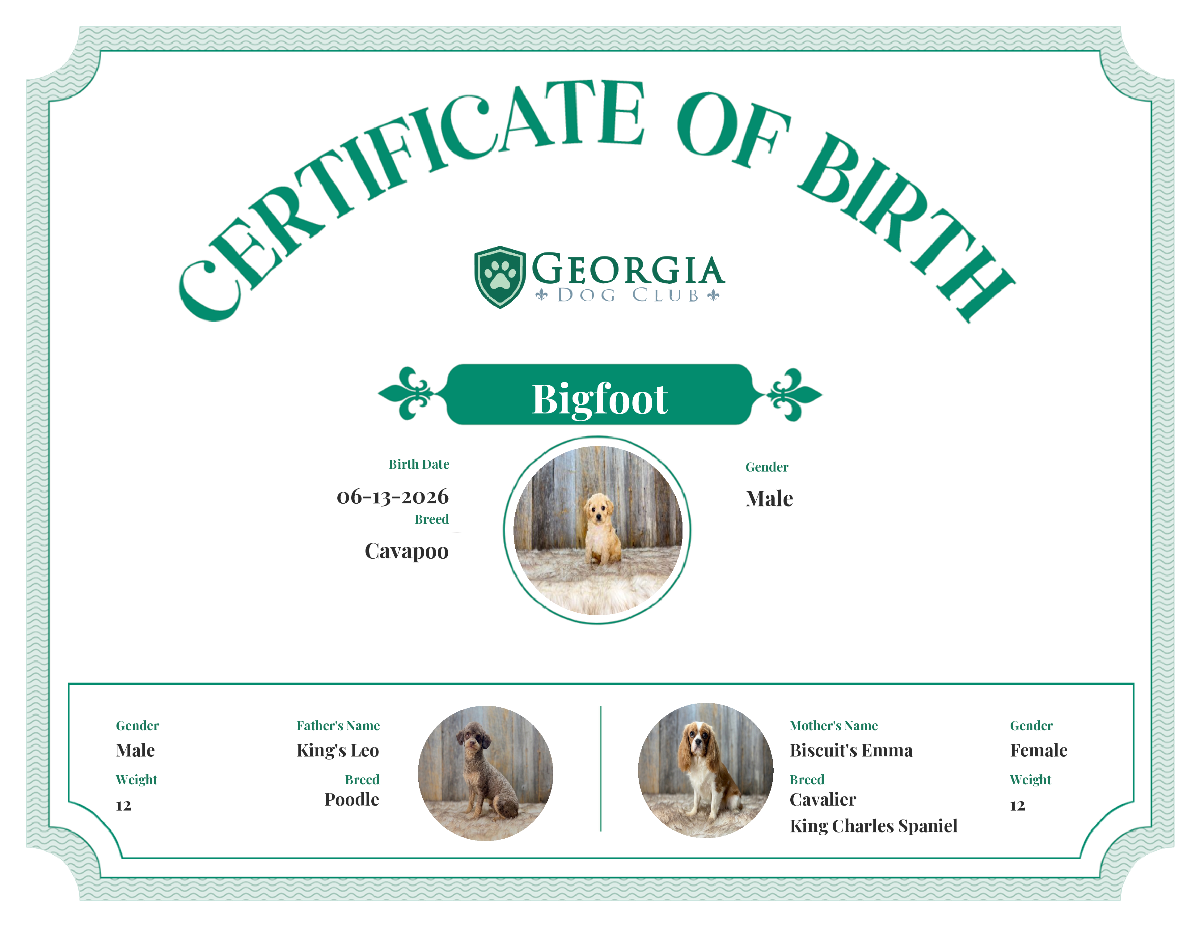 Bigfoot's Birth Certificate