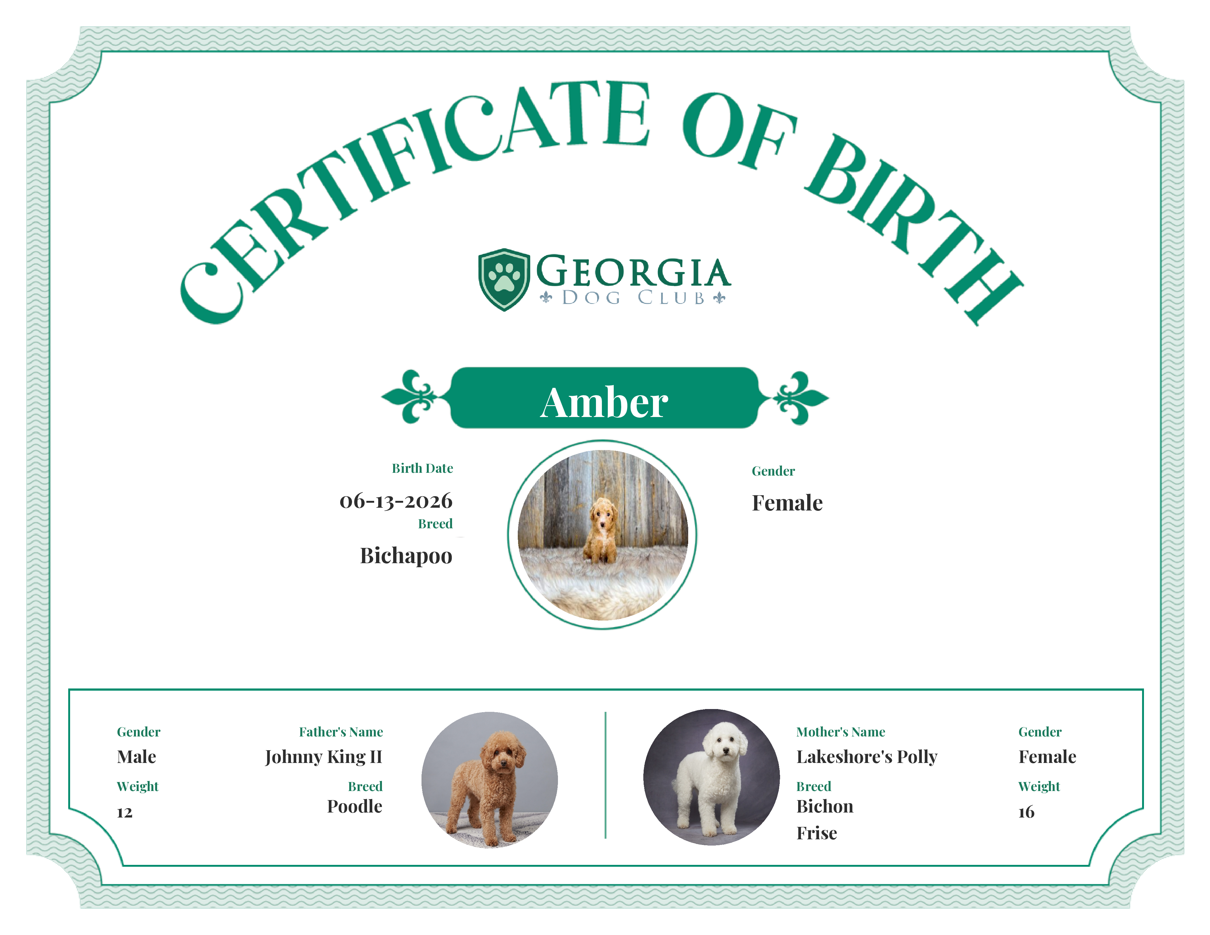 Amber's Birth Certificate