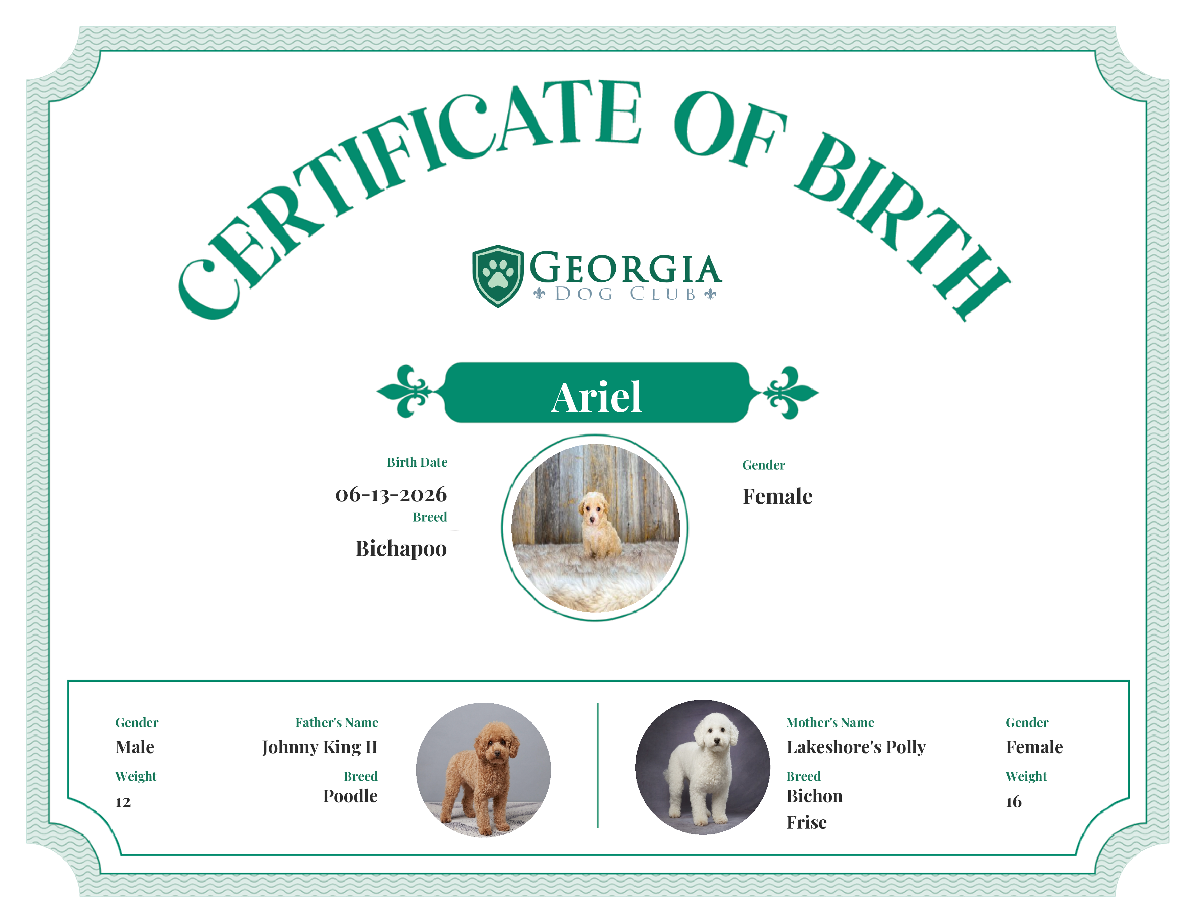 Ariel's Birth Certificate