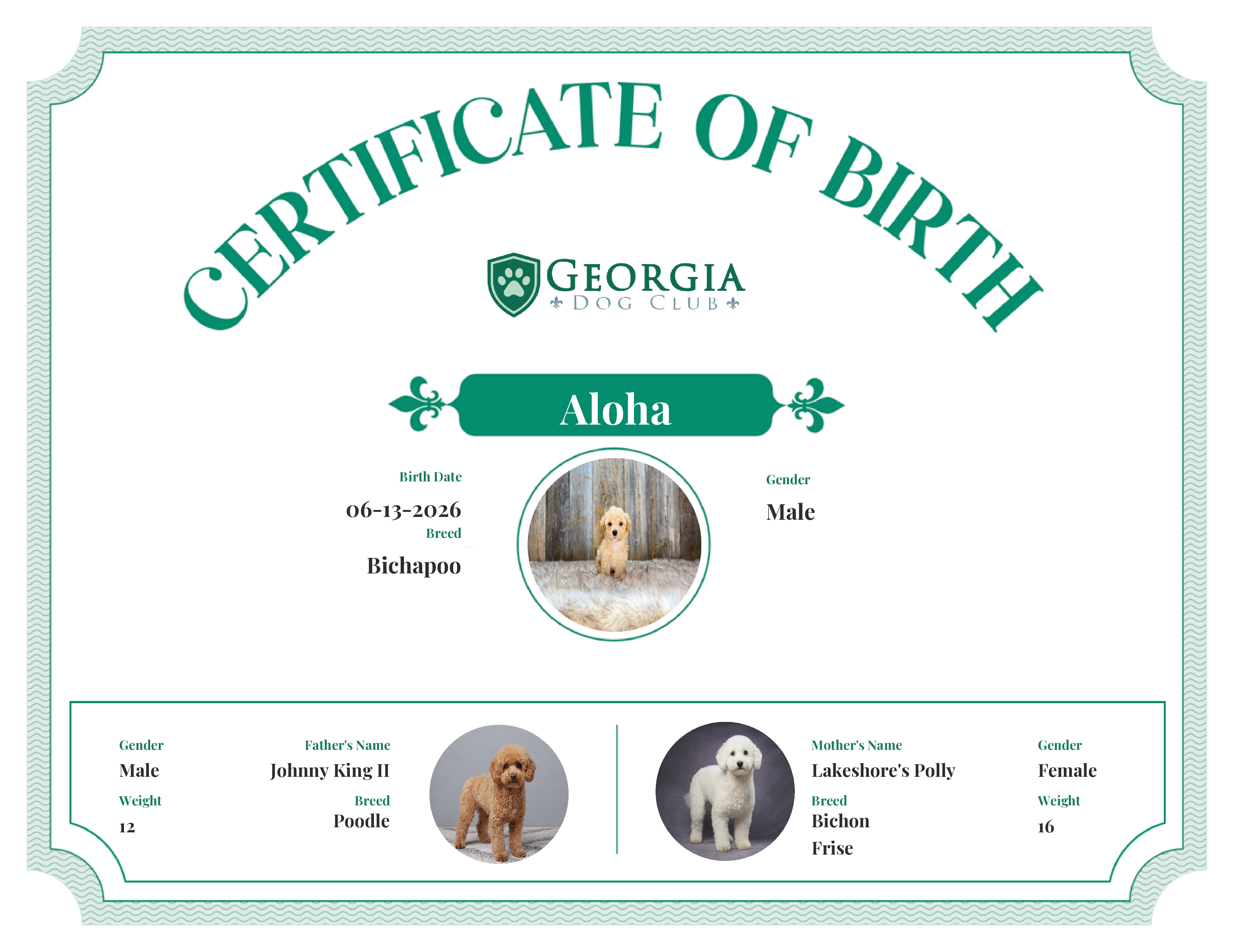 Aloha's Birth Certificate