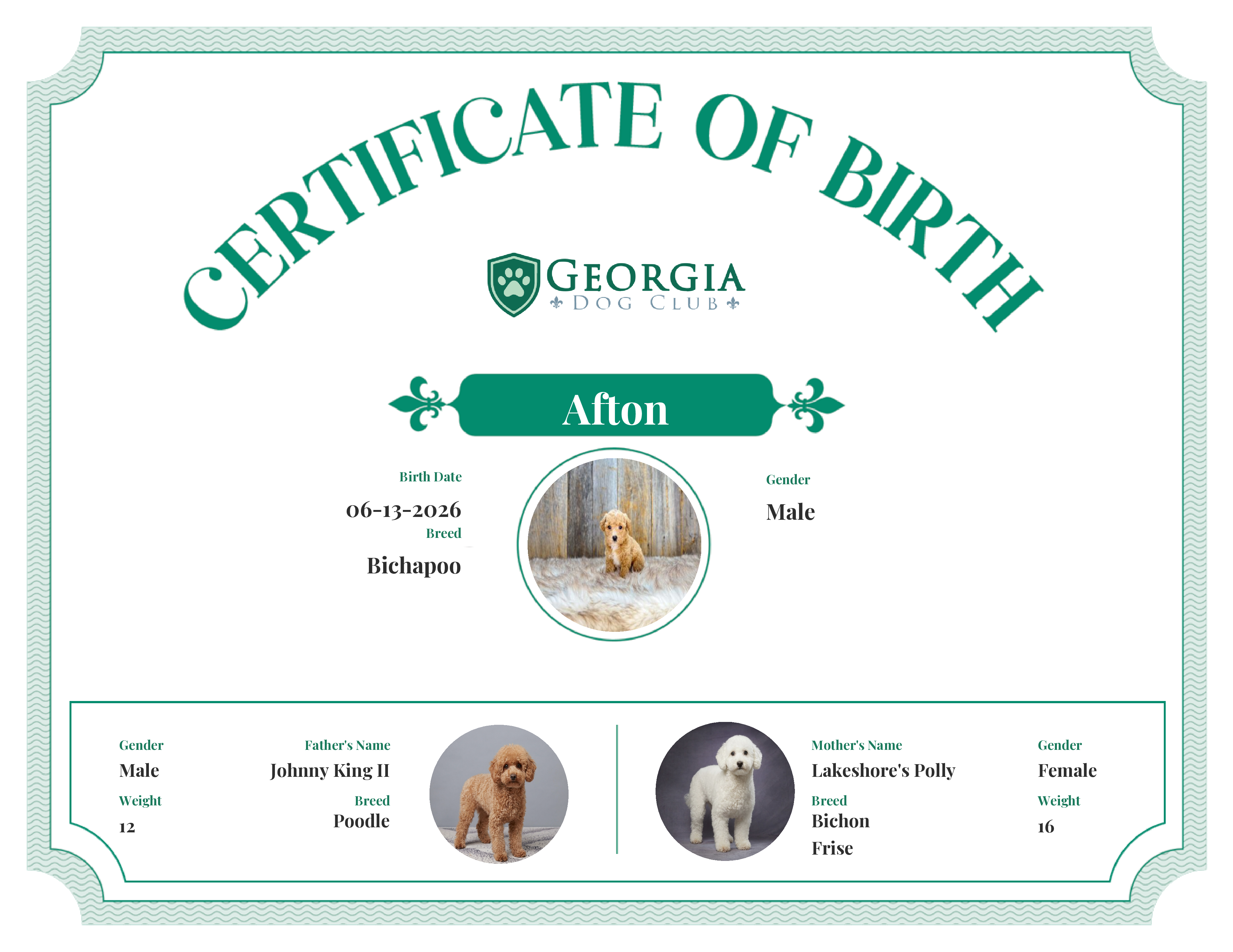 Afton's Birth Certificate