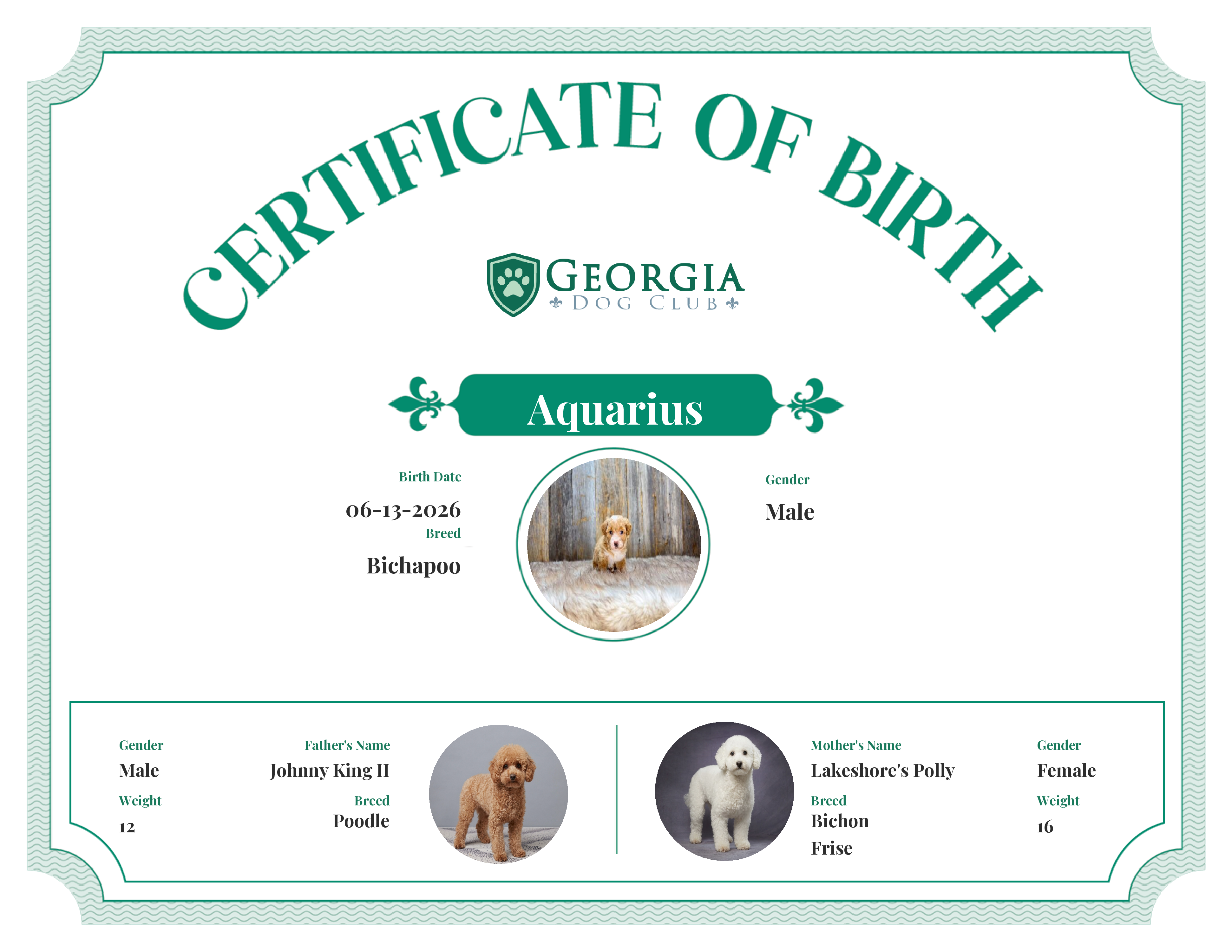 Aquarius's Birth Certificate