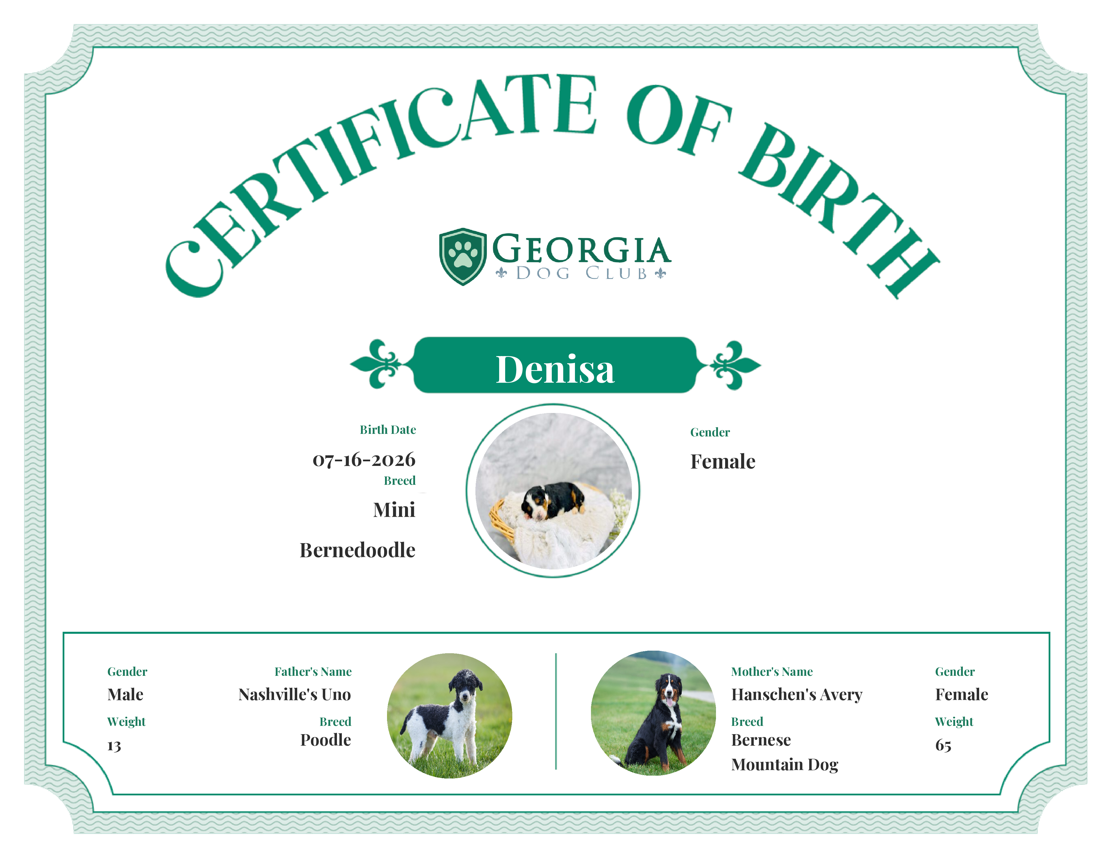 Denisa's Birth Certificate