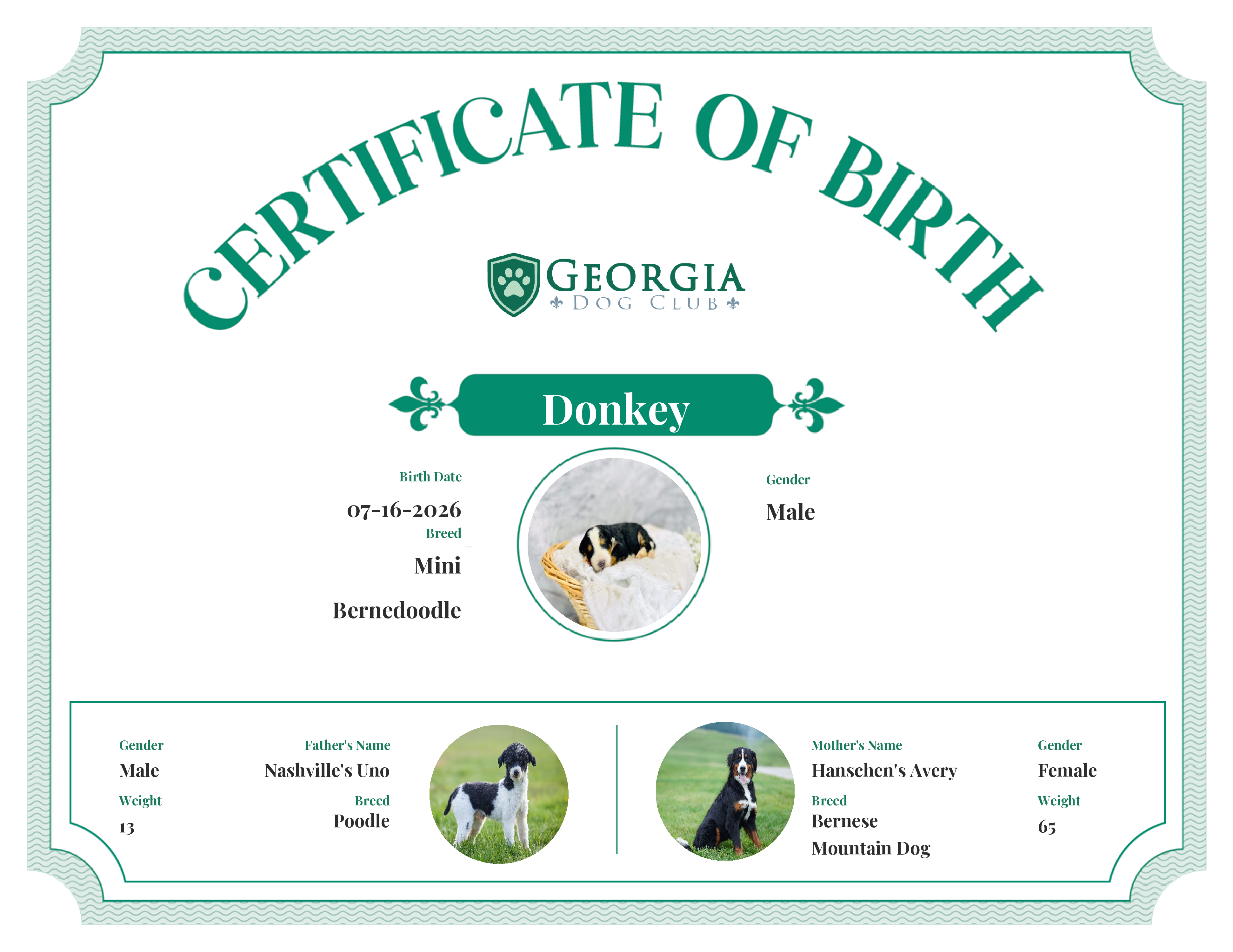 Donkey's Birth Certificate