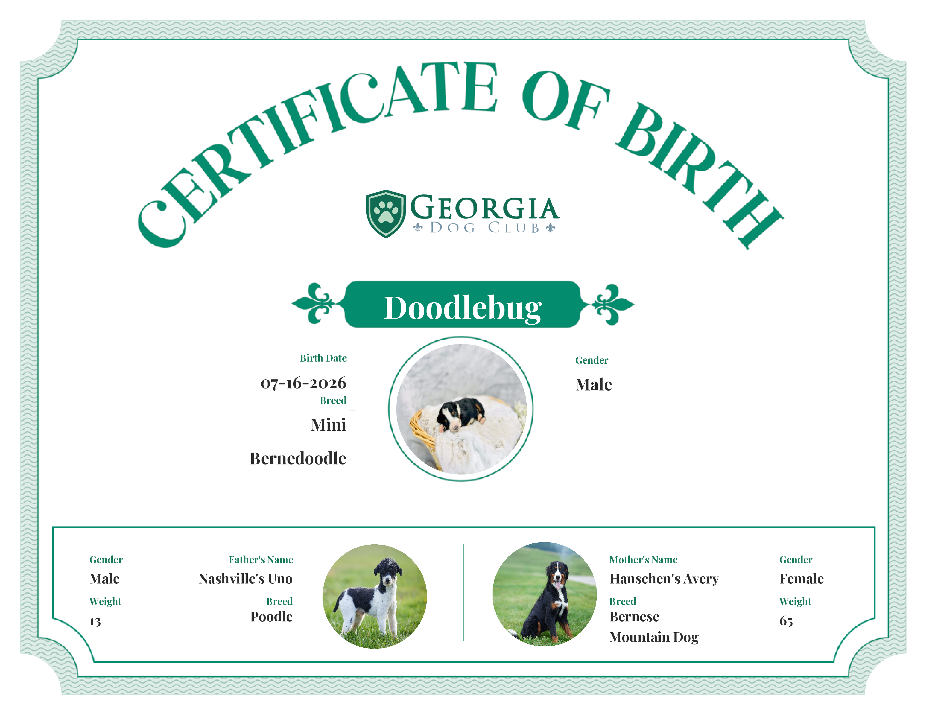 Doodlebug's Birth Certificate