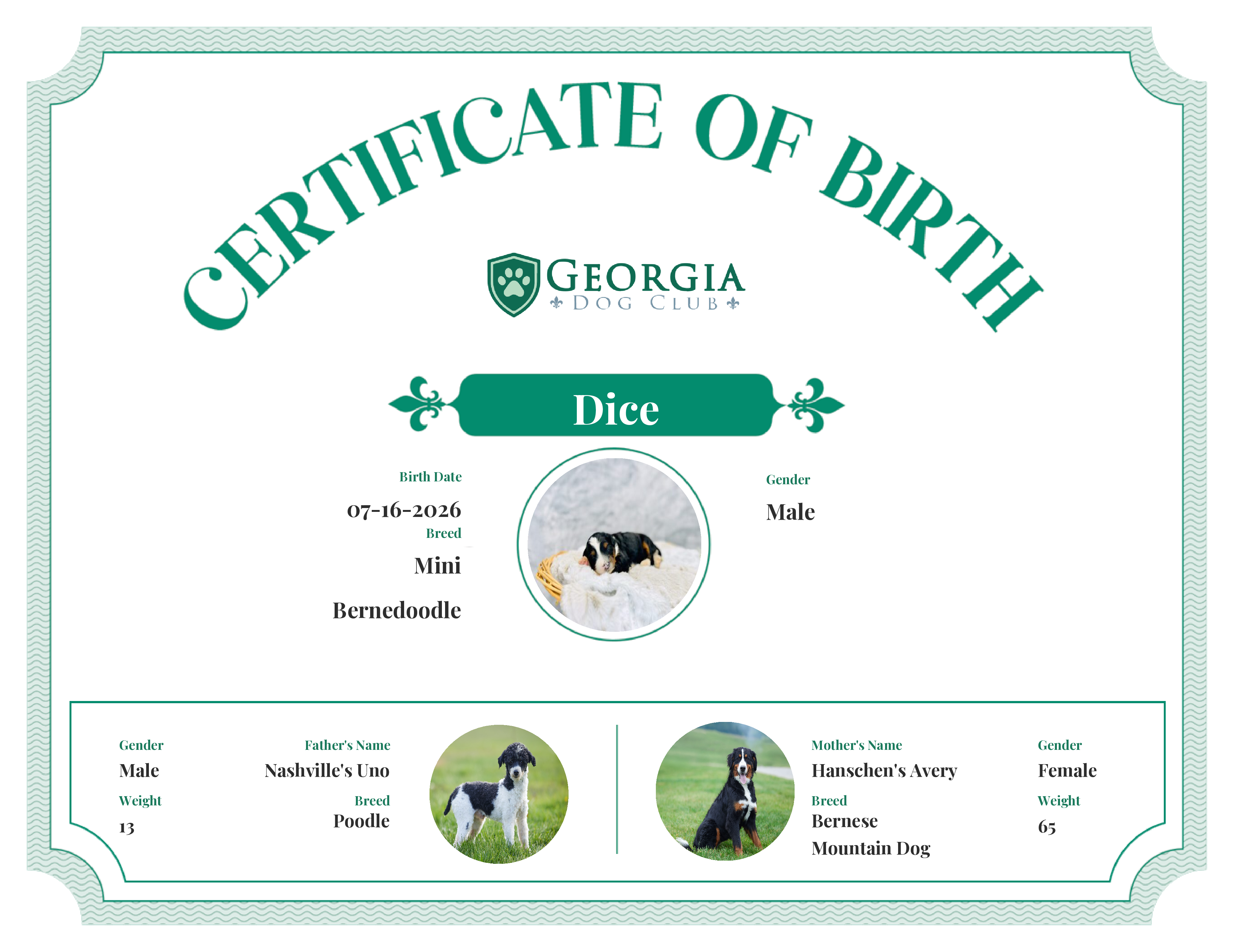 Dice's Birth Certificate