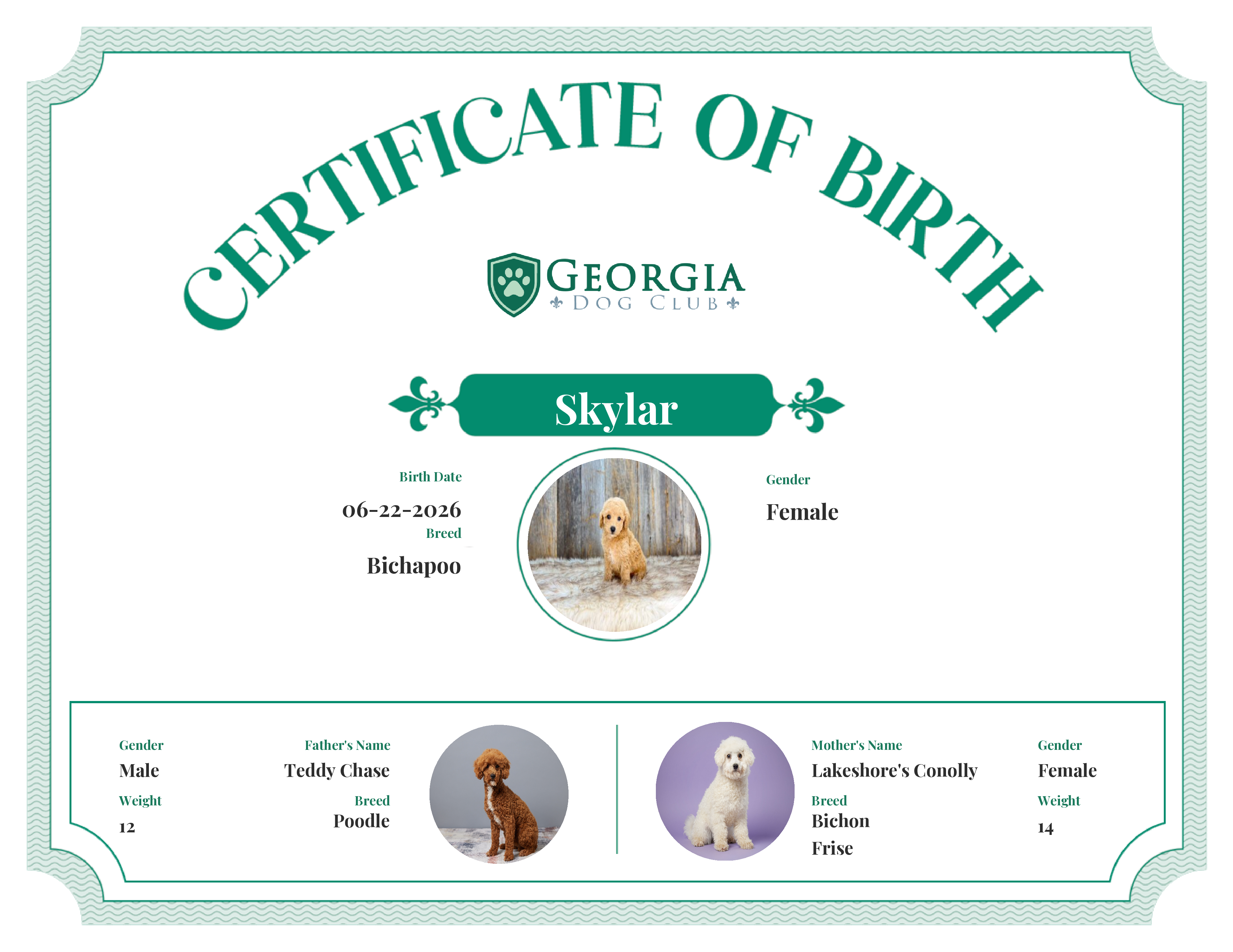 Skylar's Birth Certificate