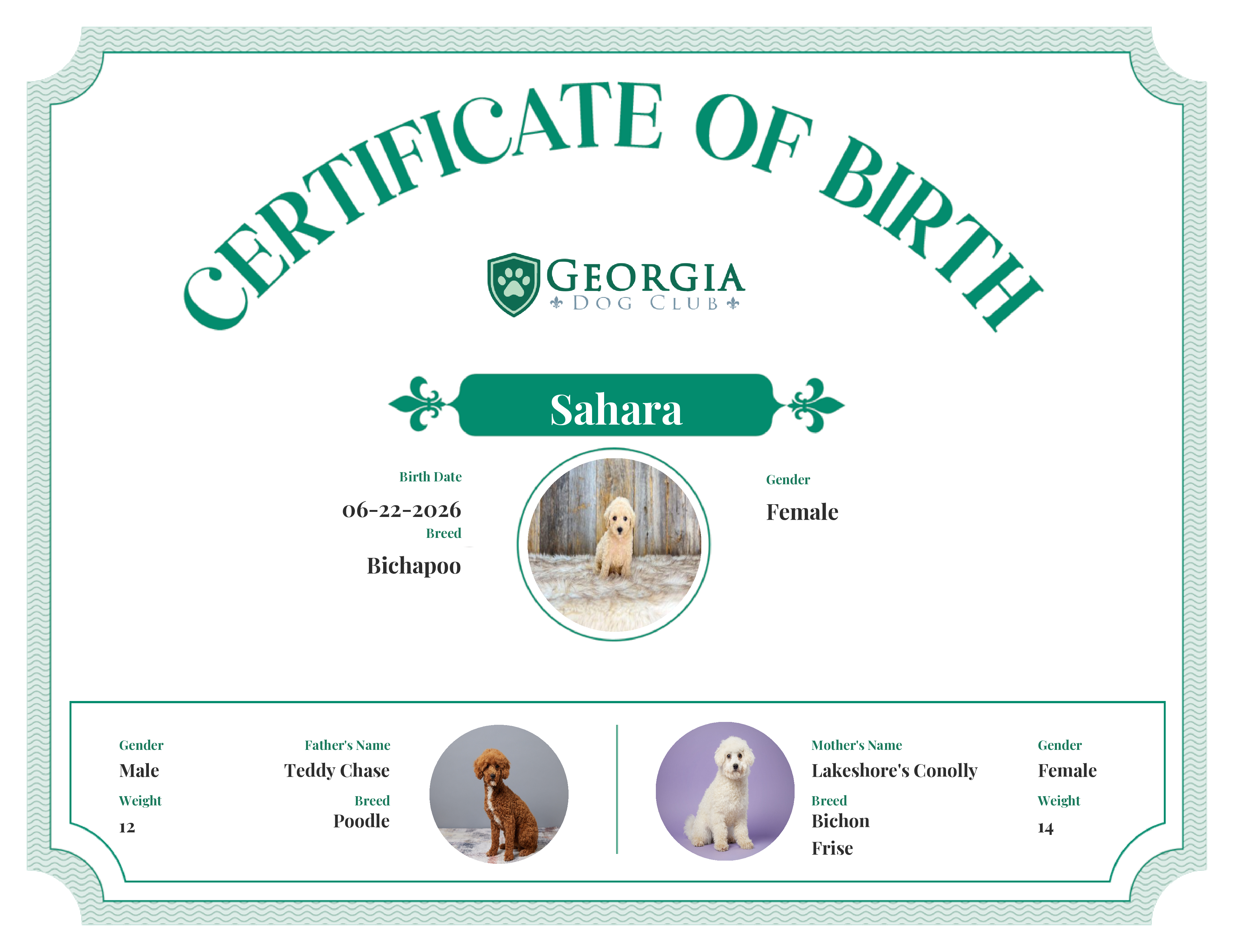 Sahara's Birth Certificate