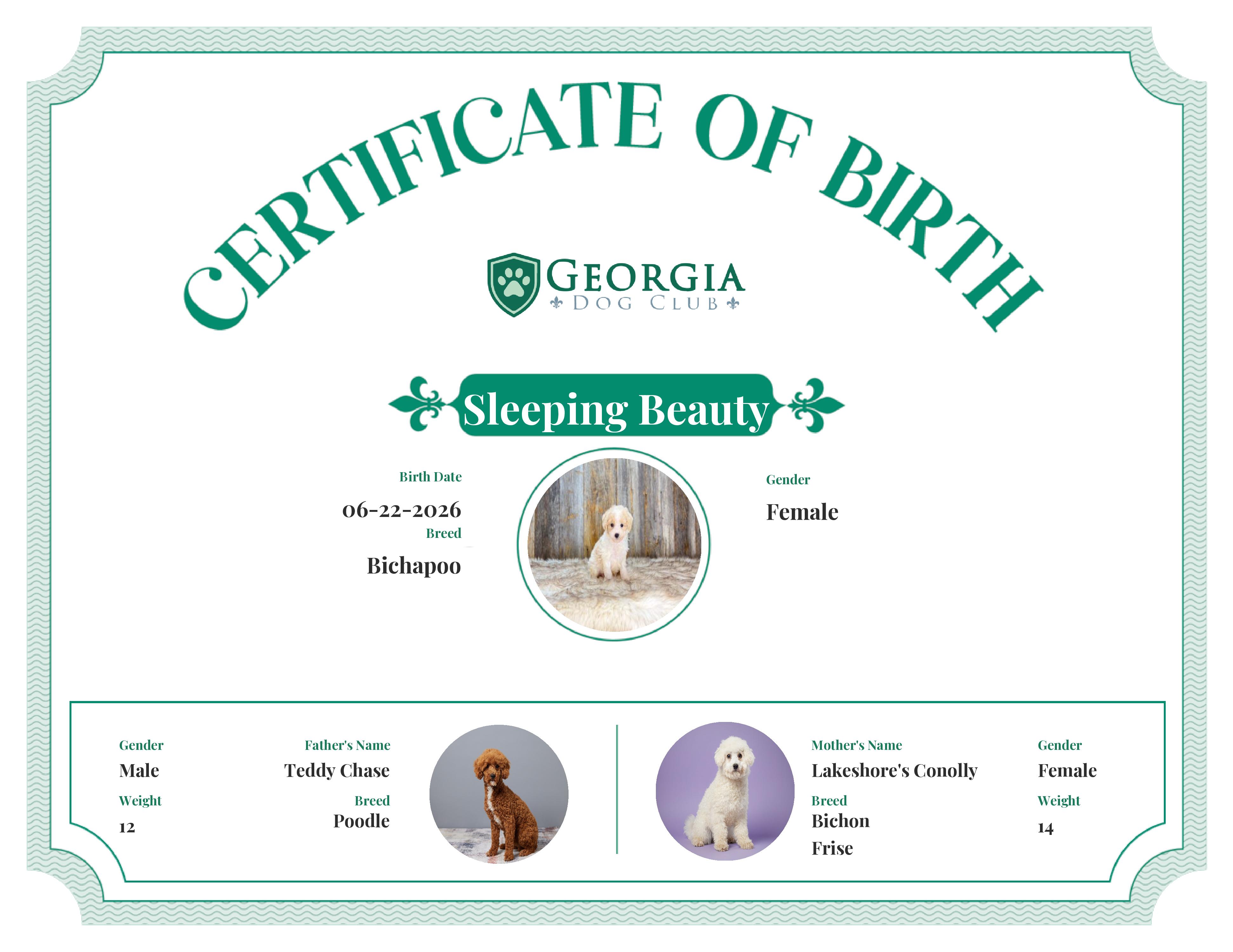 Sleeping Beauty's Birth Certificate