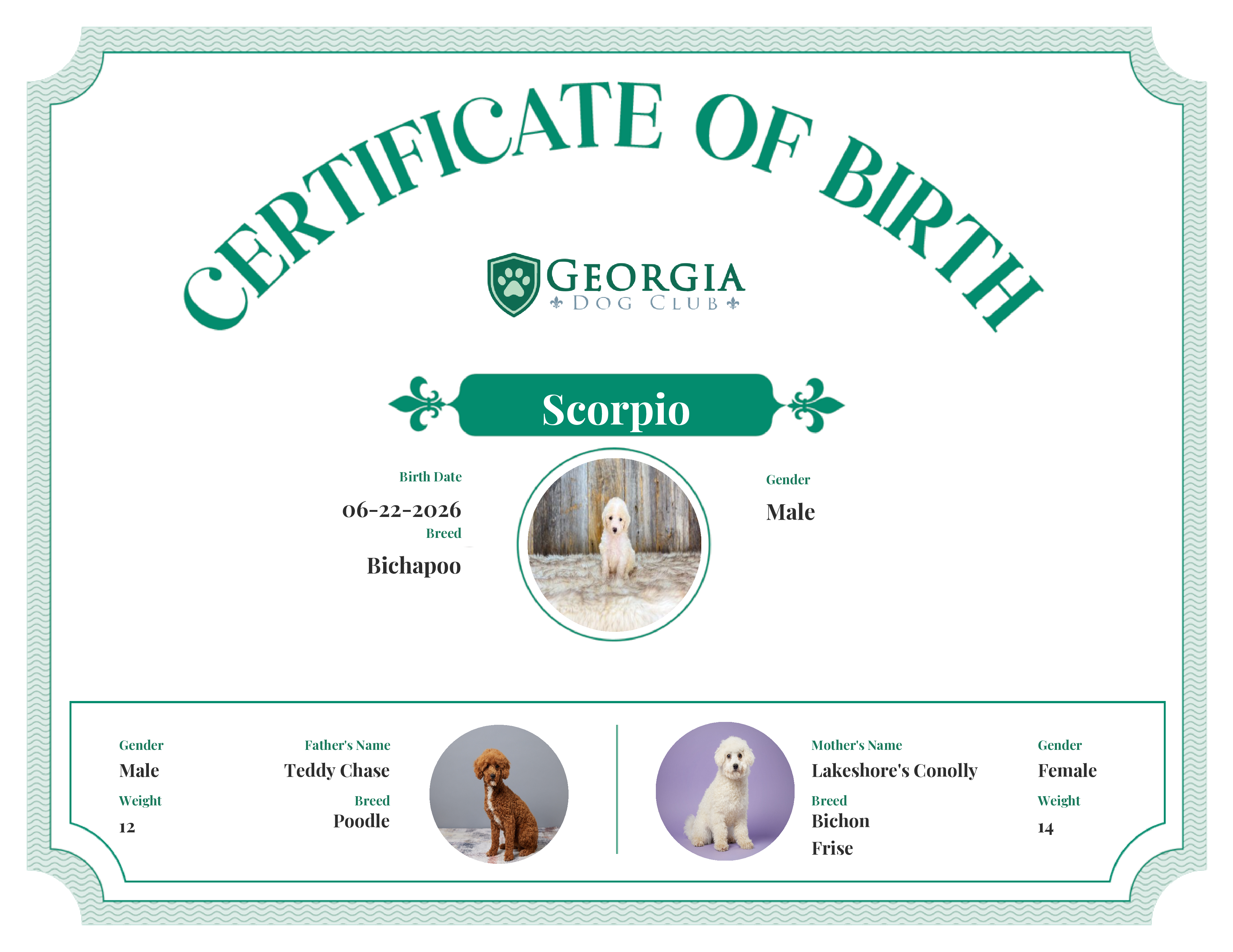 Scorpio's Birth Certificate