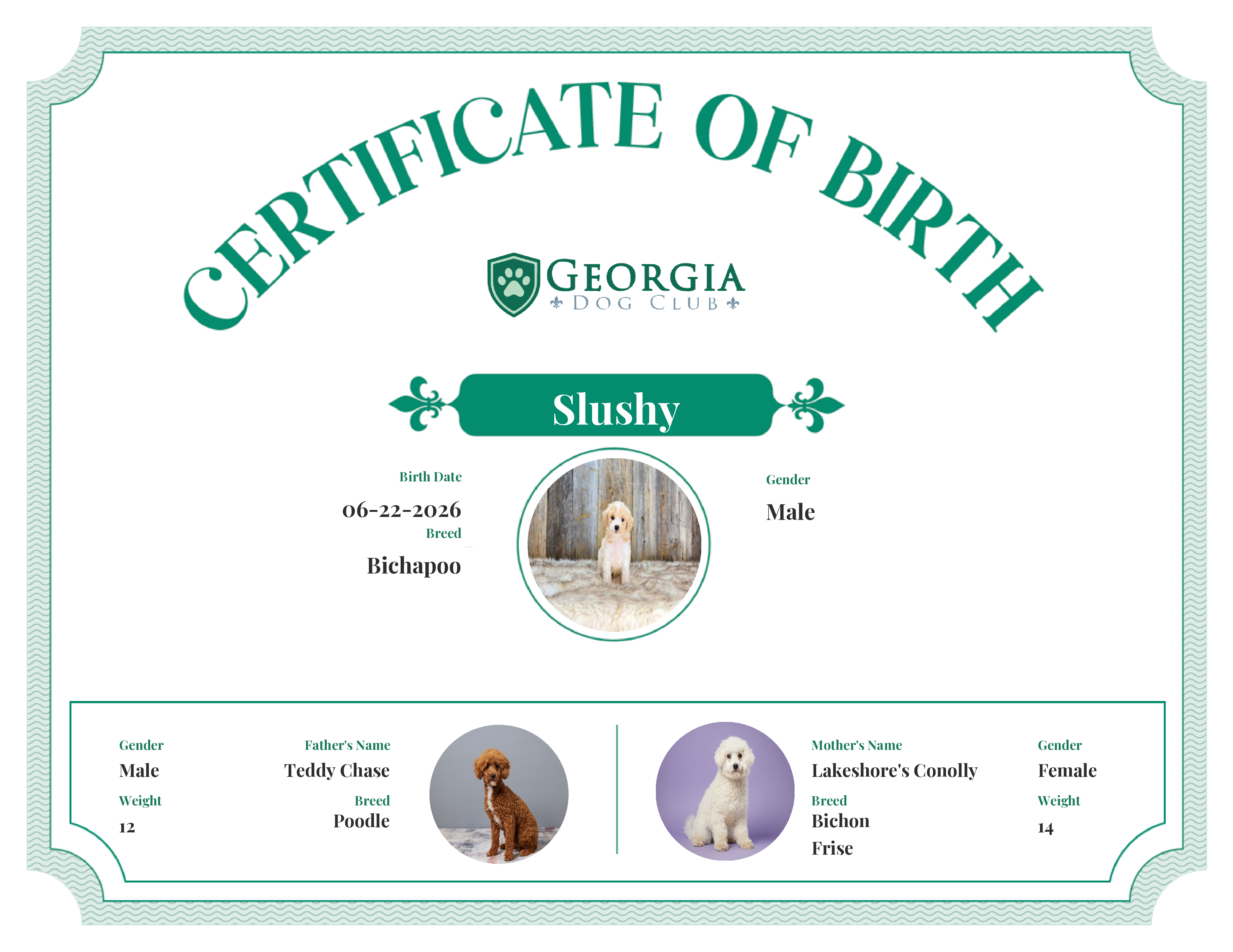 Slushy's Birth Certificate