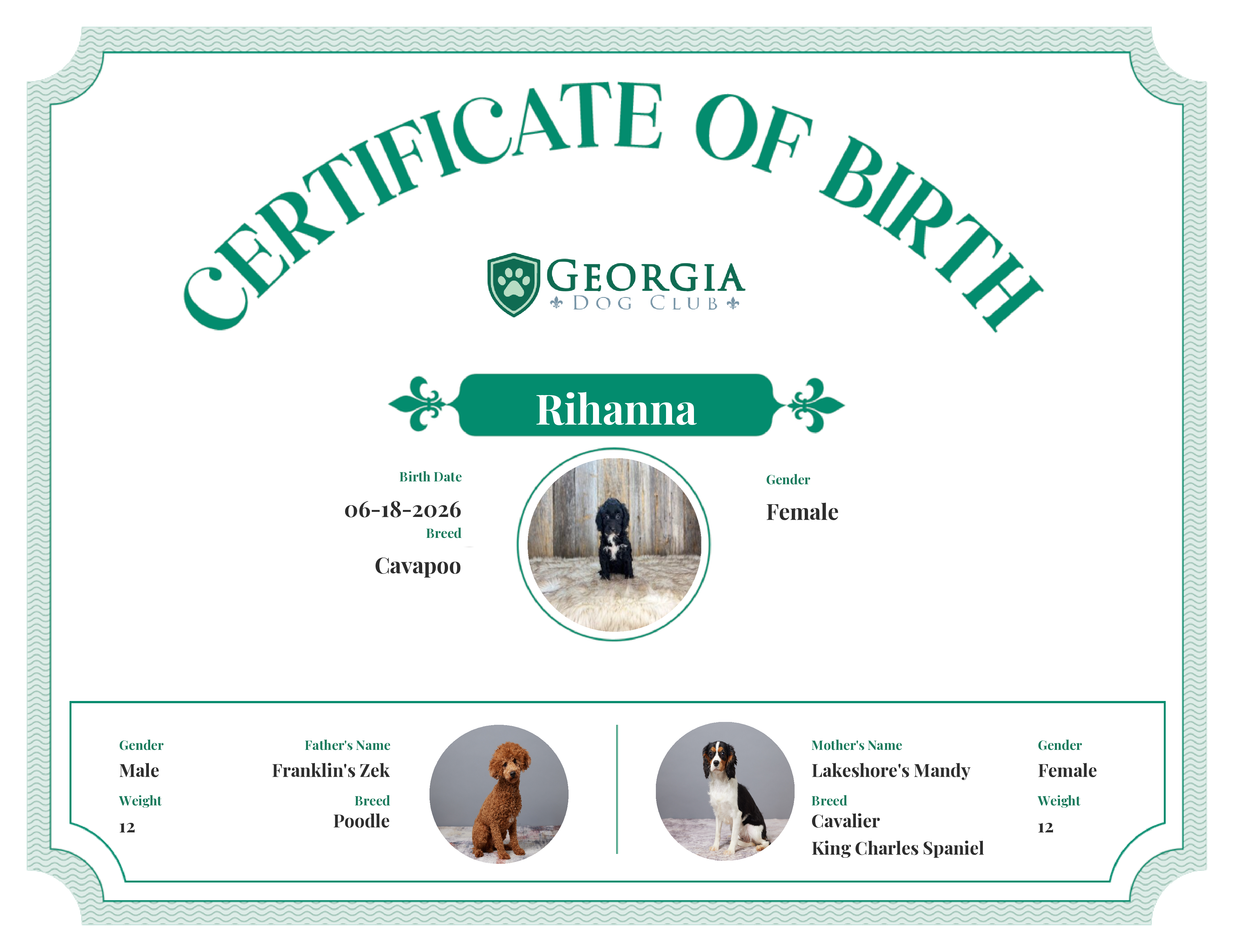 Rihanna's Birth Certificate